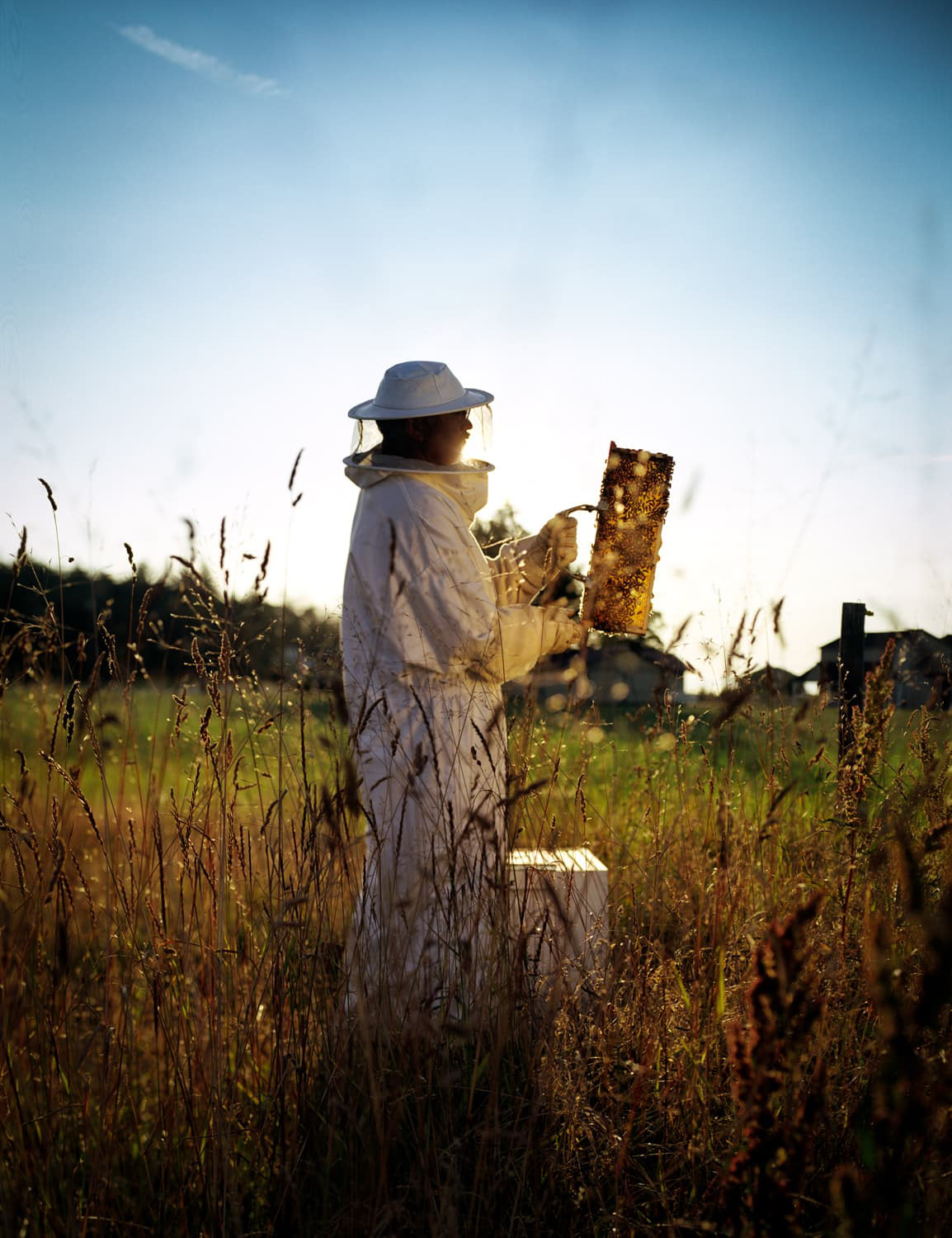 Bee keeper in field Sequim, Washington