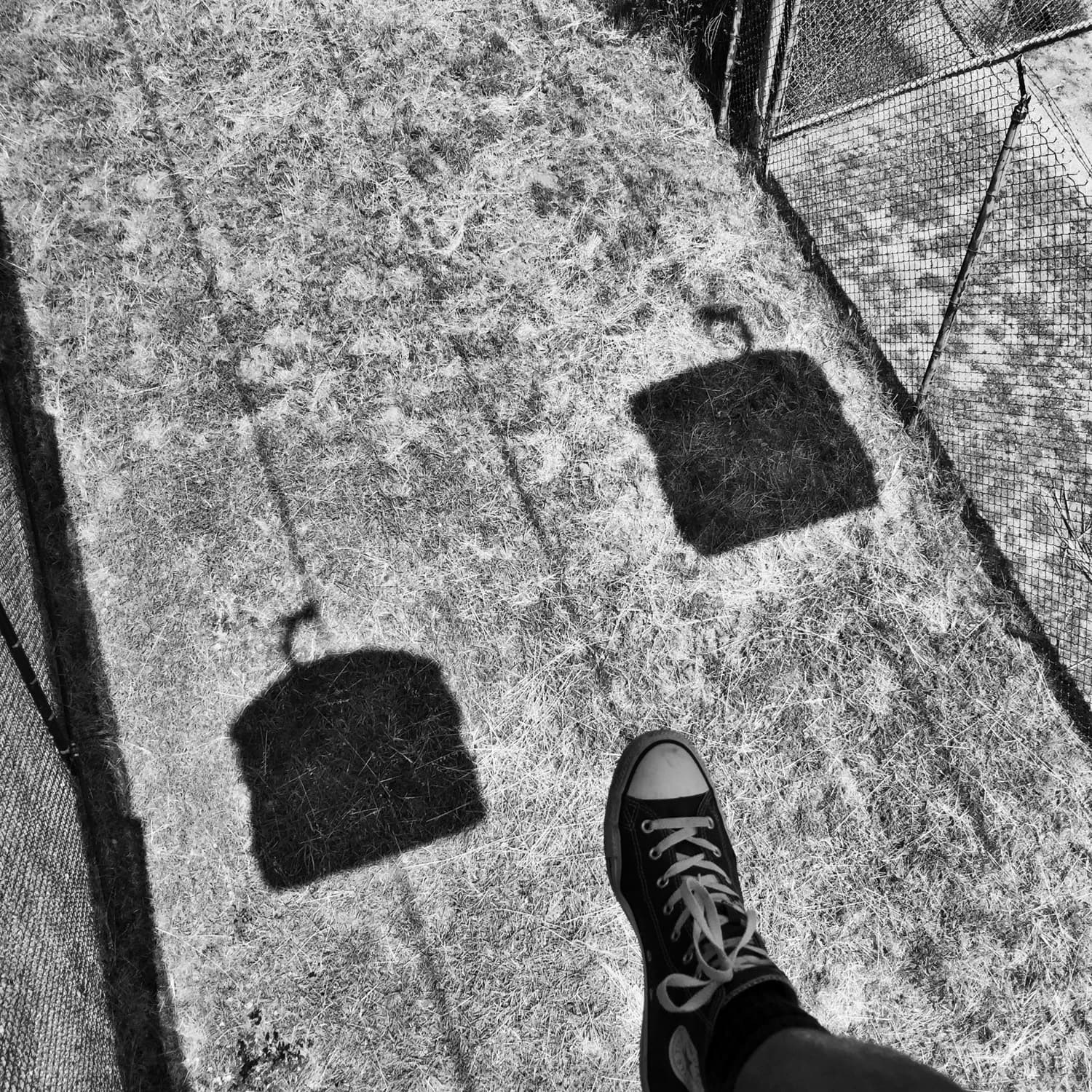 Gondola ride Oakland Zoo