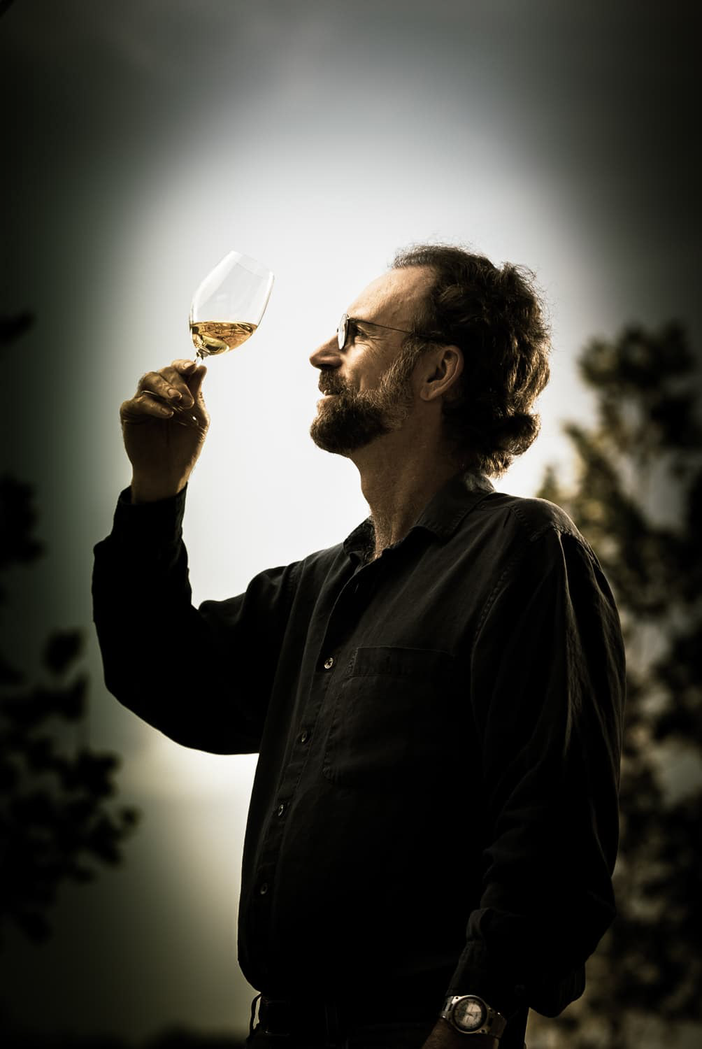 Andy Waterhouse Chair, Department of Viticulture and Enology University of California Davis