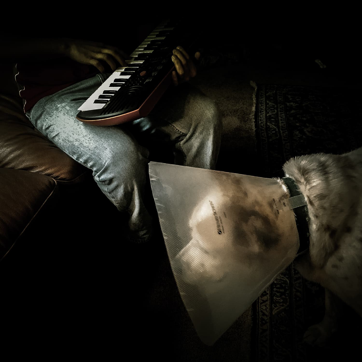 Benny and Nic enjoying music