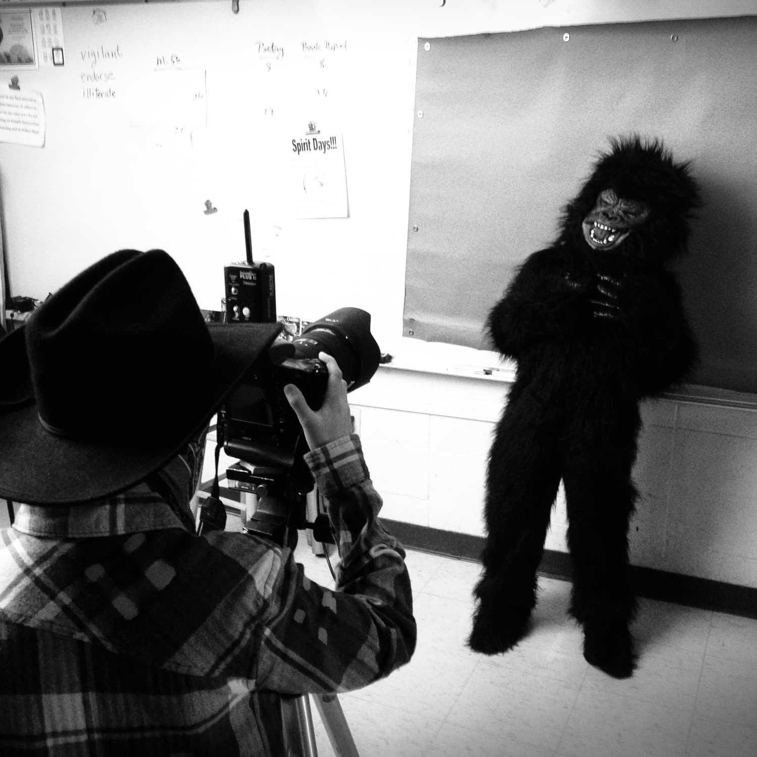 Just a Cowboy and a Gorilla