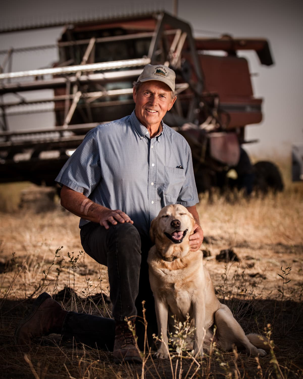 Jack Dewitt rice farmer Sacramento valley