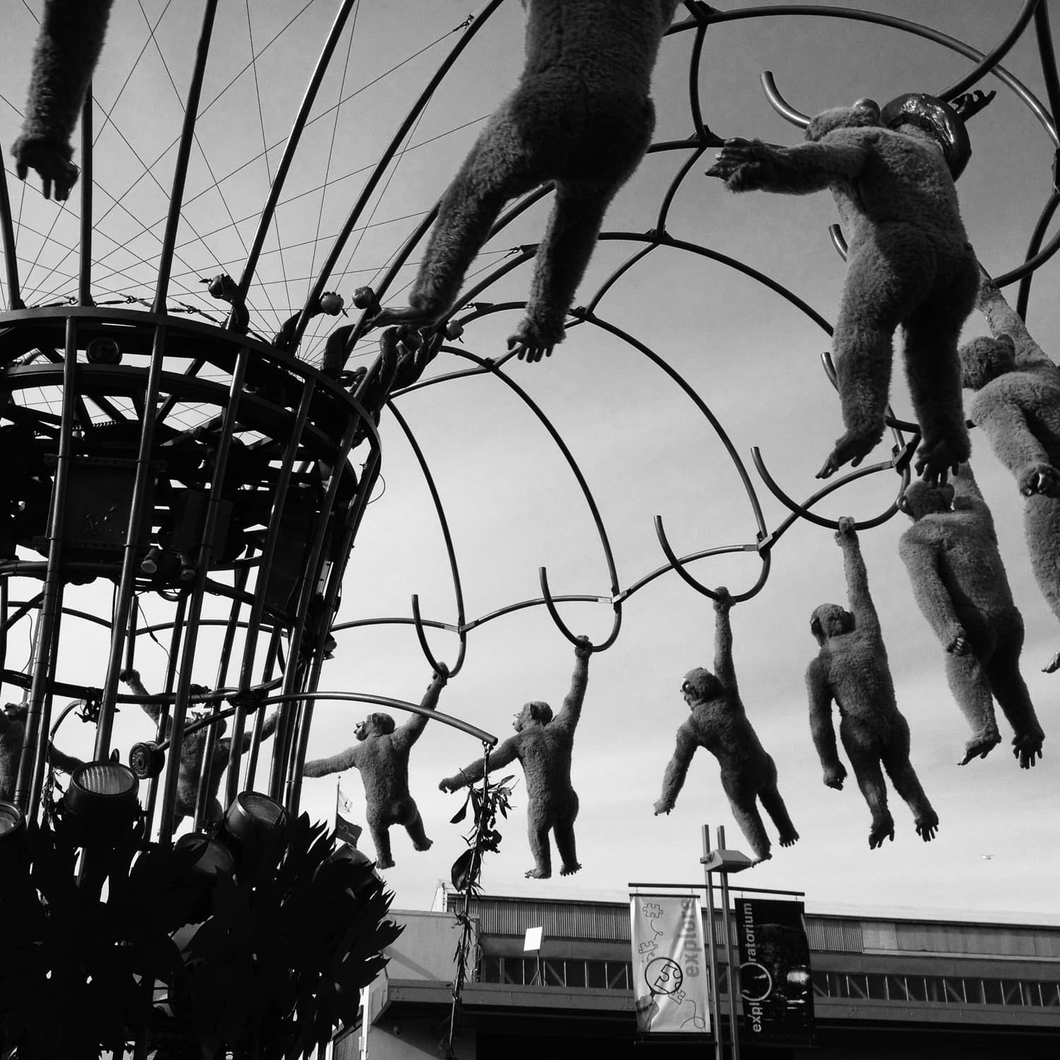 Monkey ride San Fransisco, California