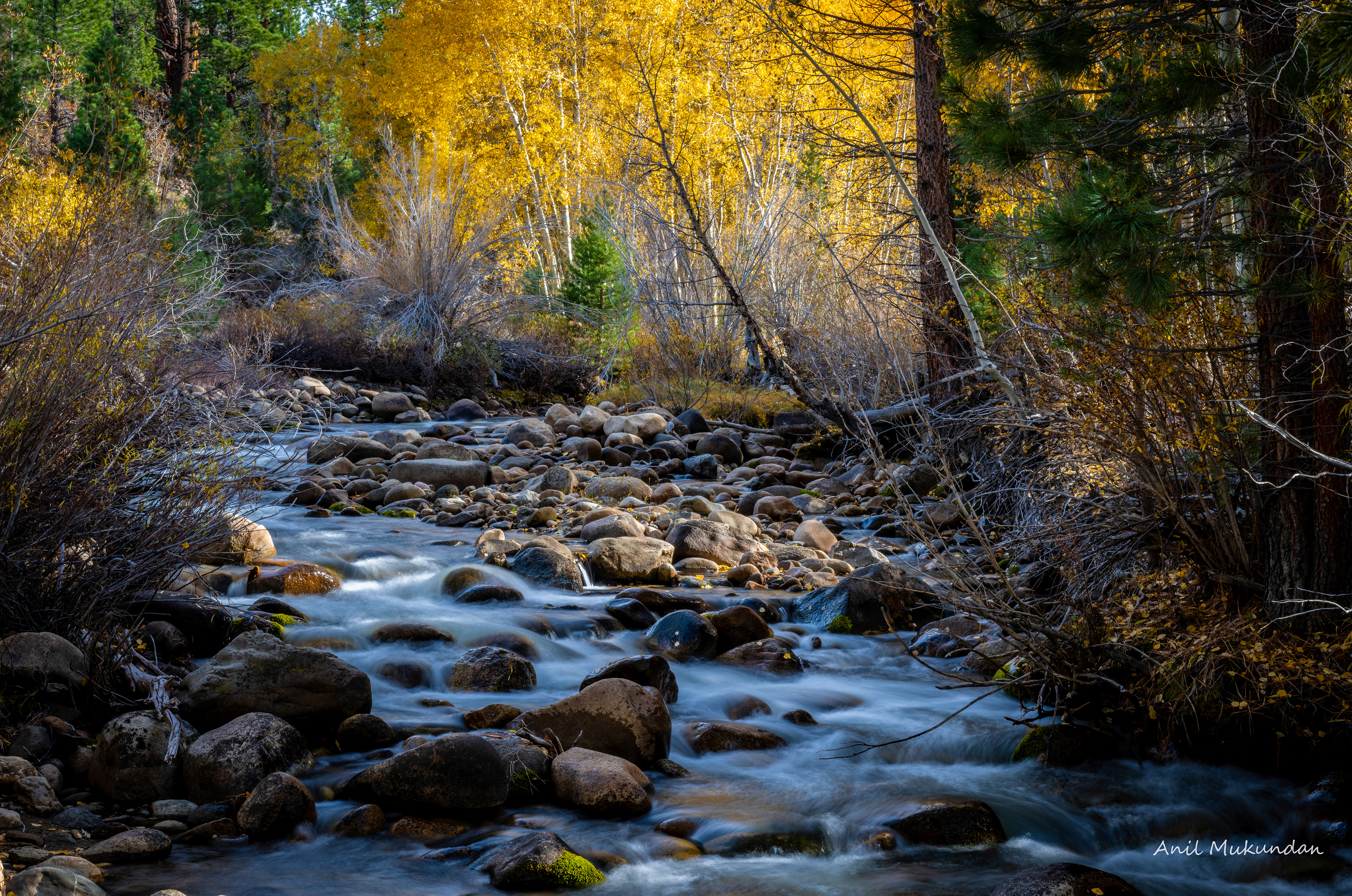 Fall in Eastern Sierra, California