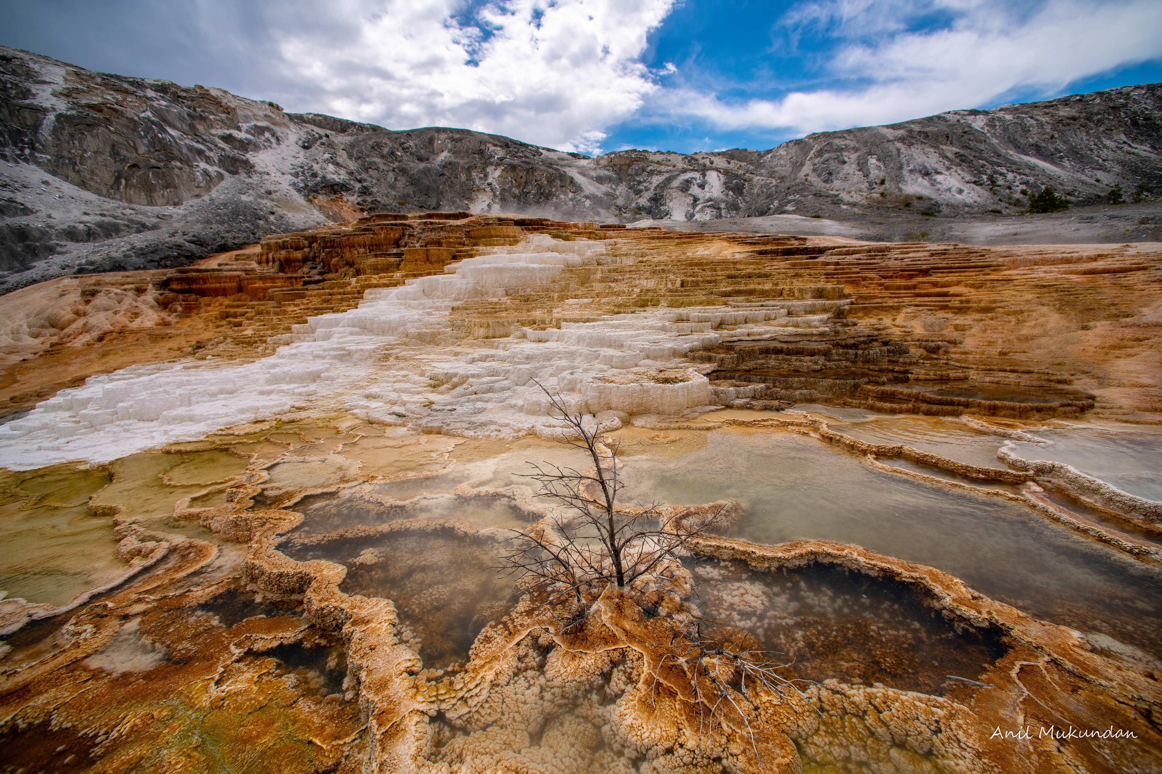 Survival | Mammoth Hot Springs, Yellowstone National Park