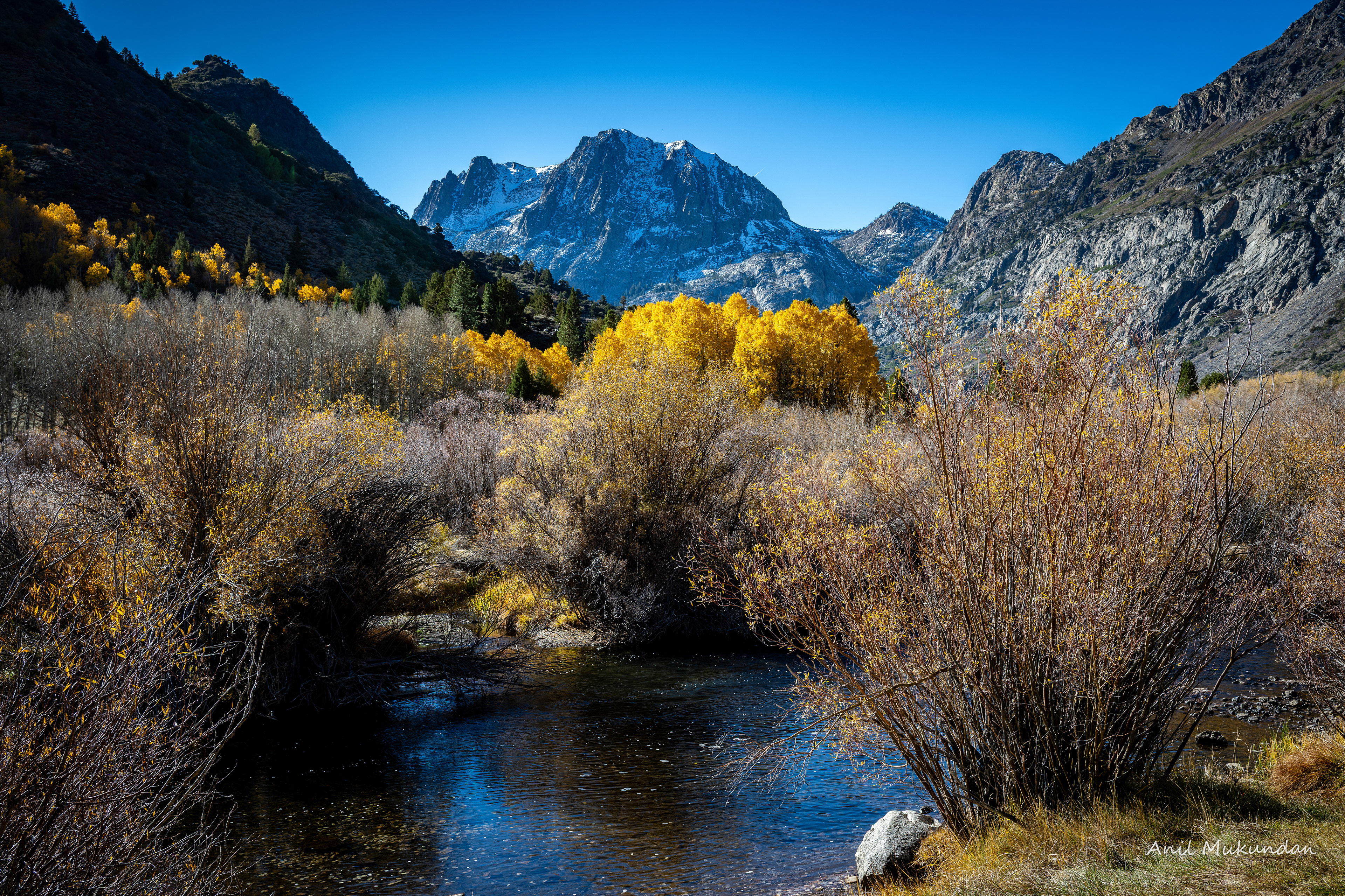 Fall in Eastern Sierra, California