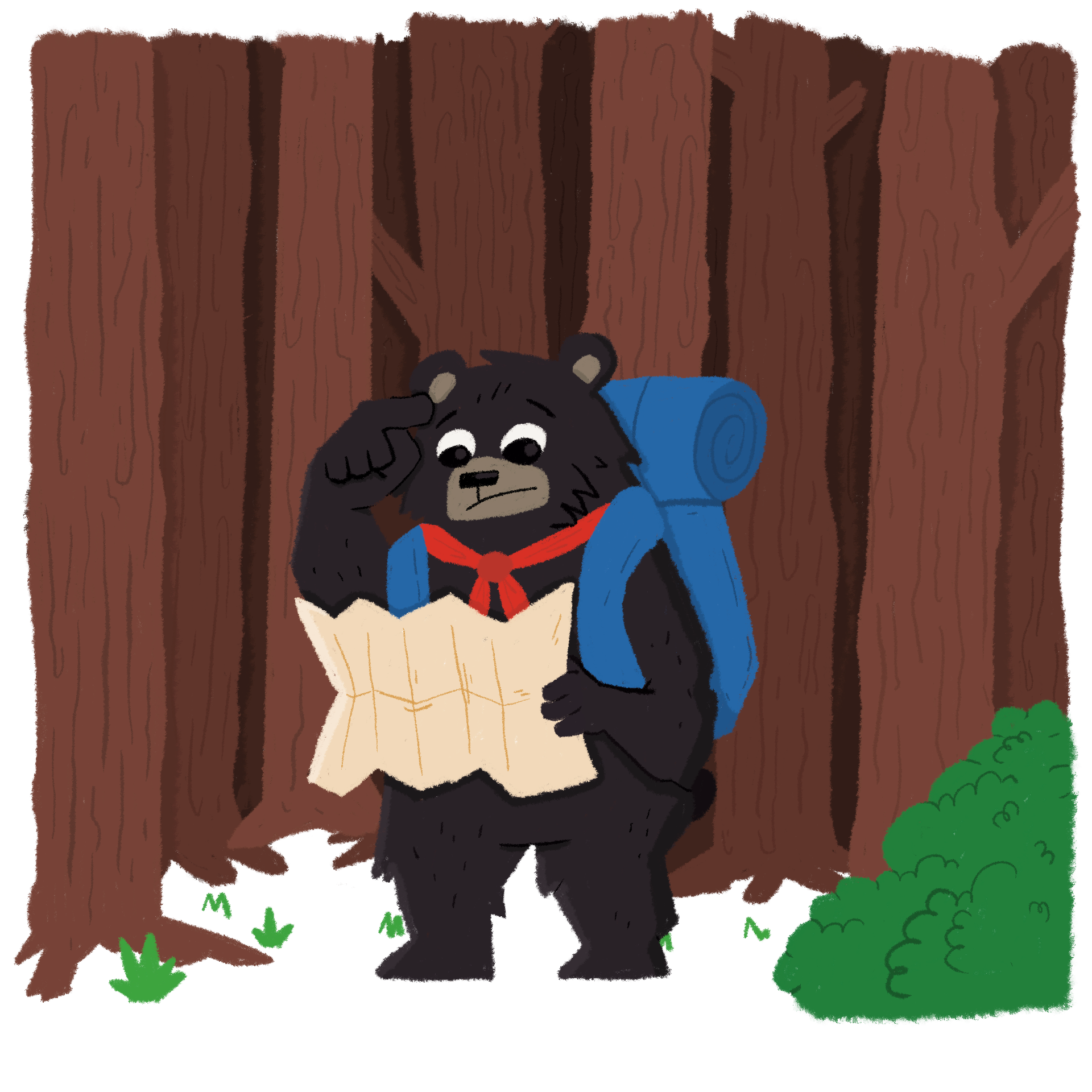 Den Wald vor lauter Bäumen nicht sehen