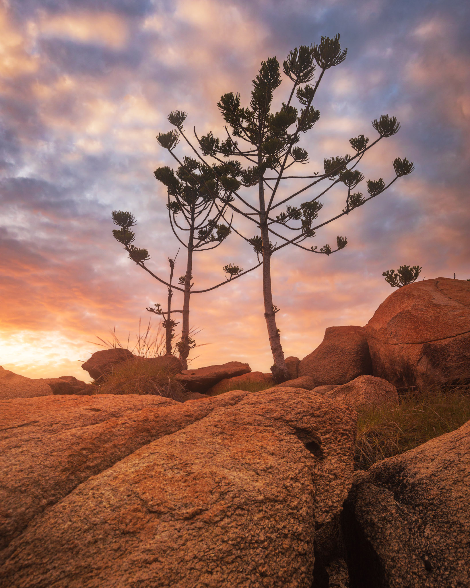 Arthur Bay