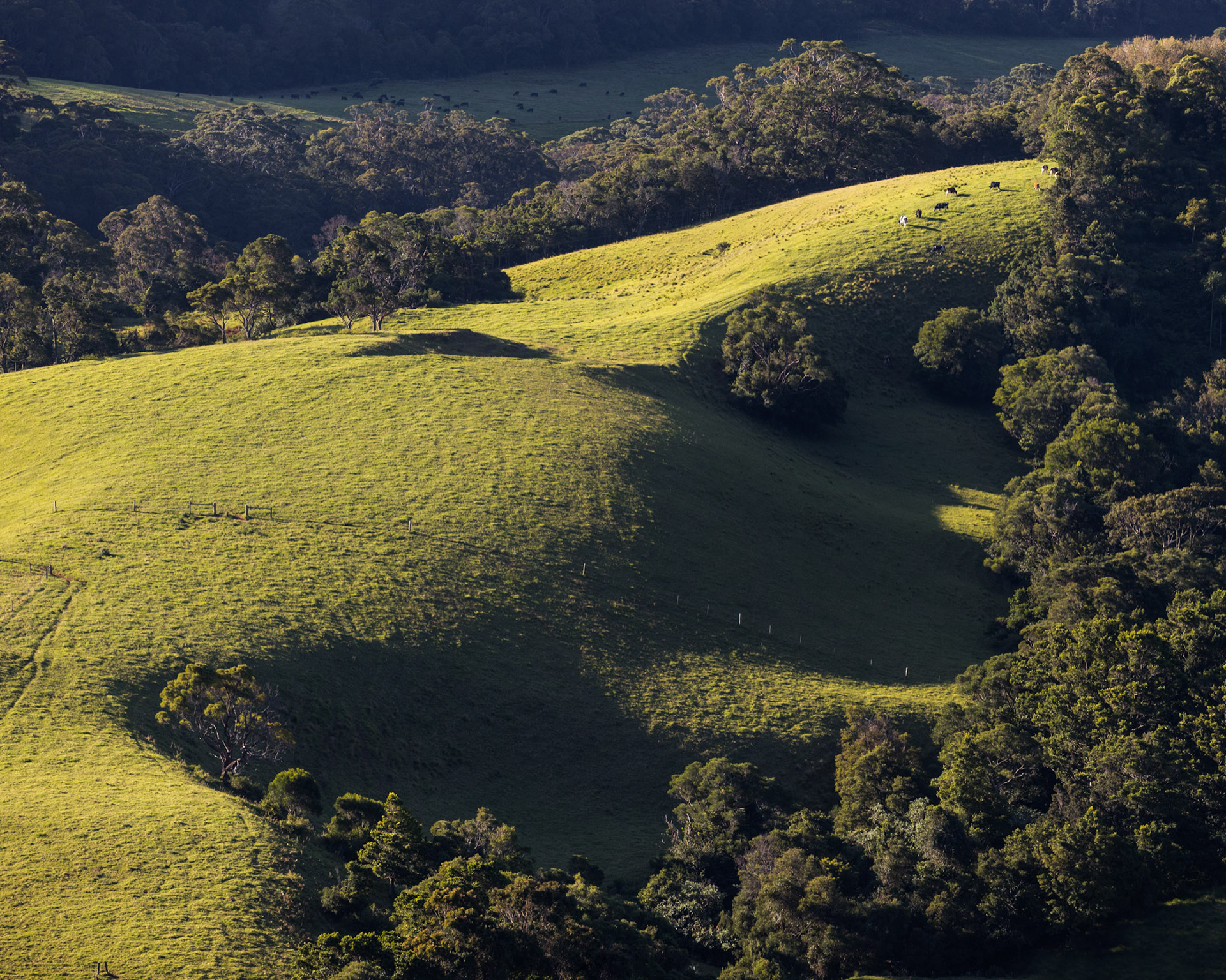 Saddleback Mountain