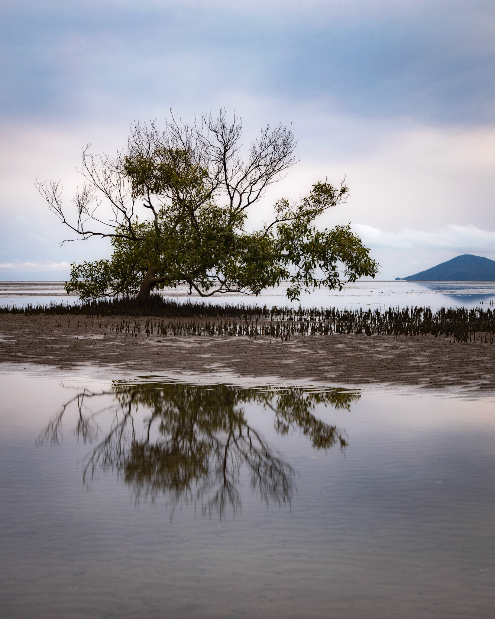 Bushland Beach