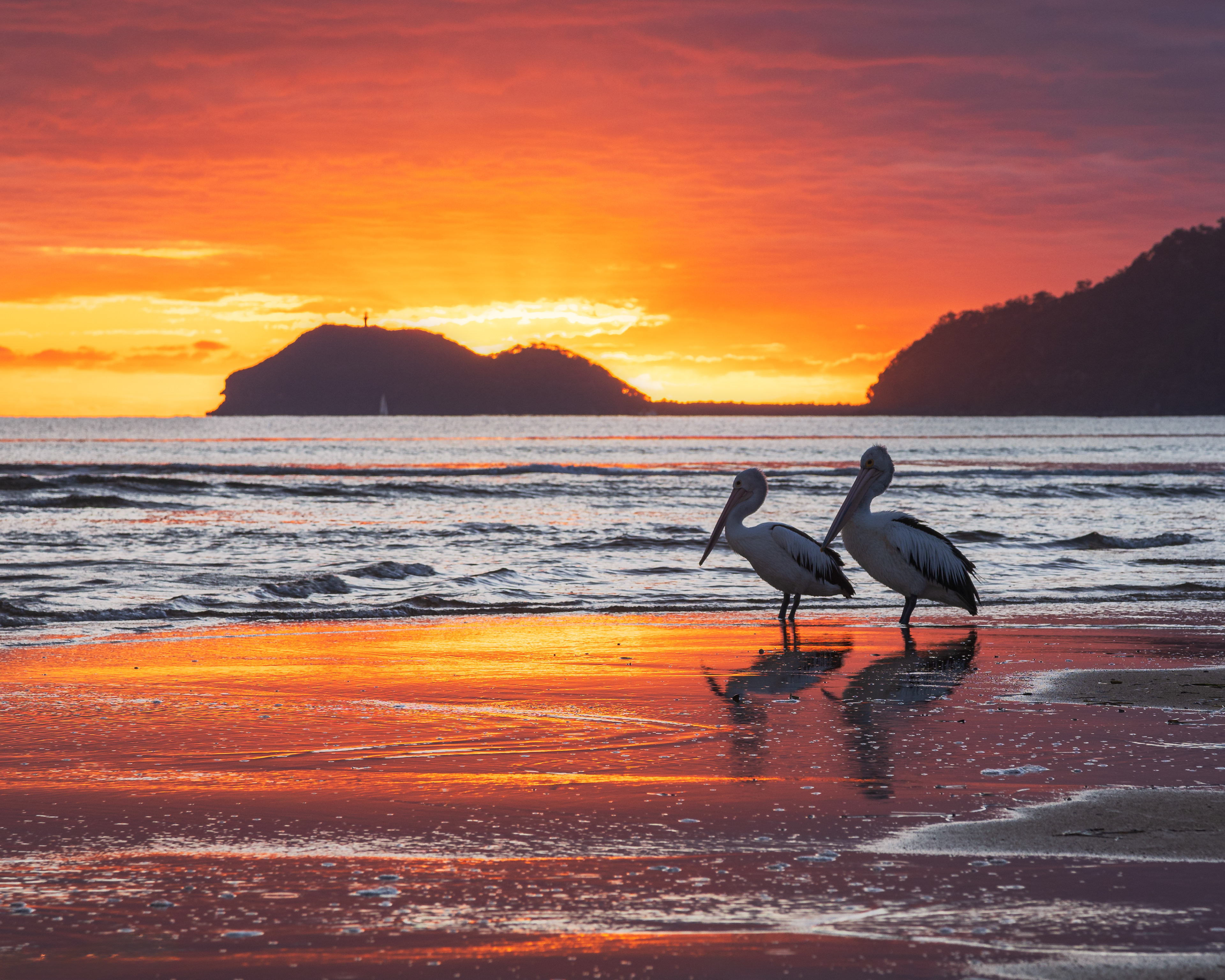 Patonga