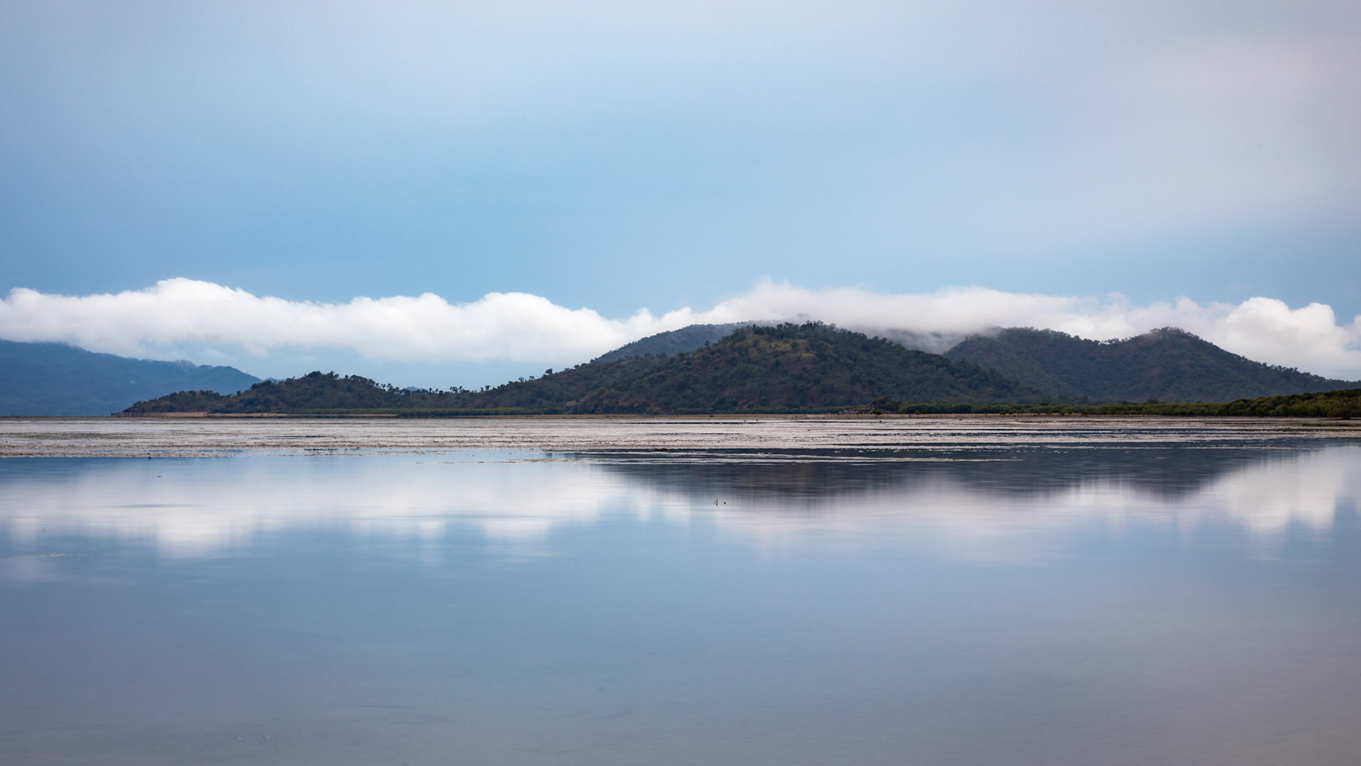 Bushland Beach