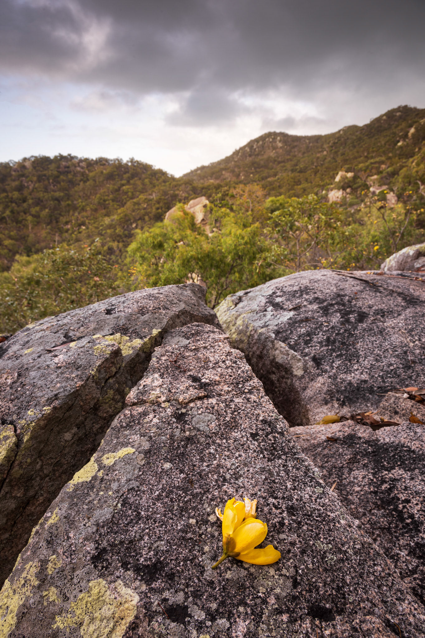 Magnetic Island National Park