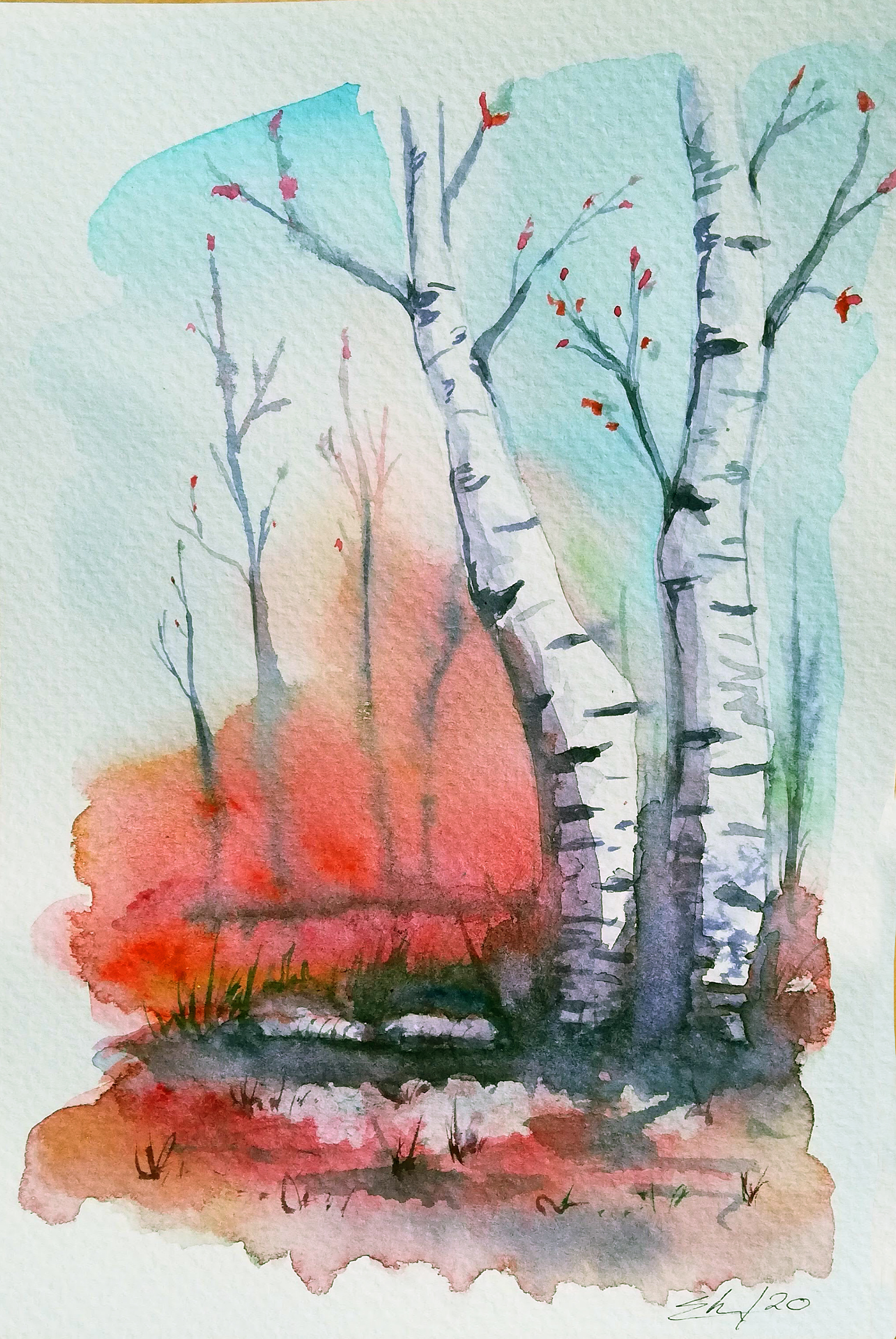 Canadian Birch: Watercolour, 2020