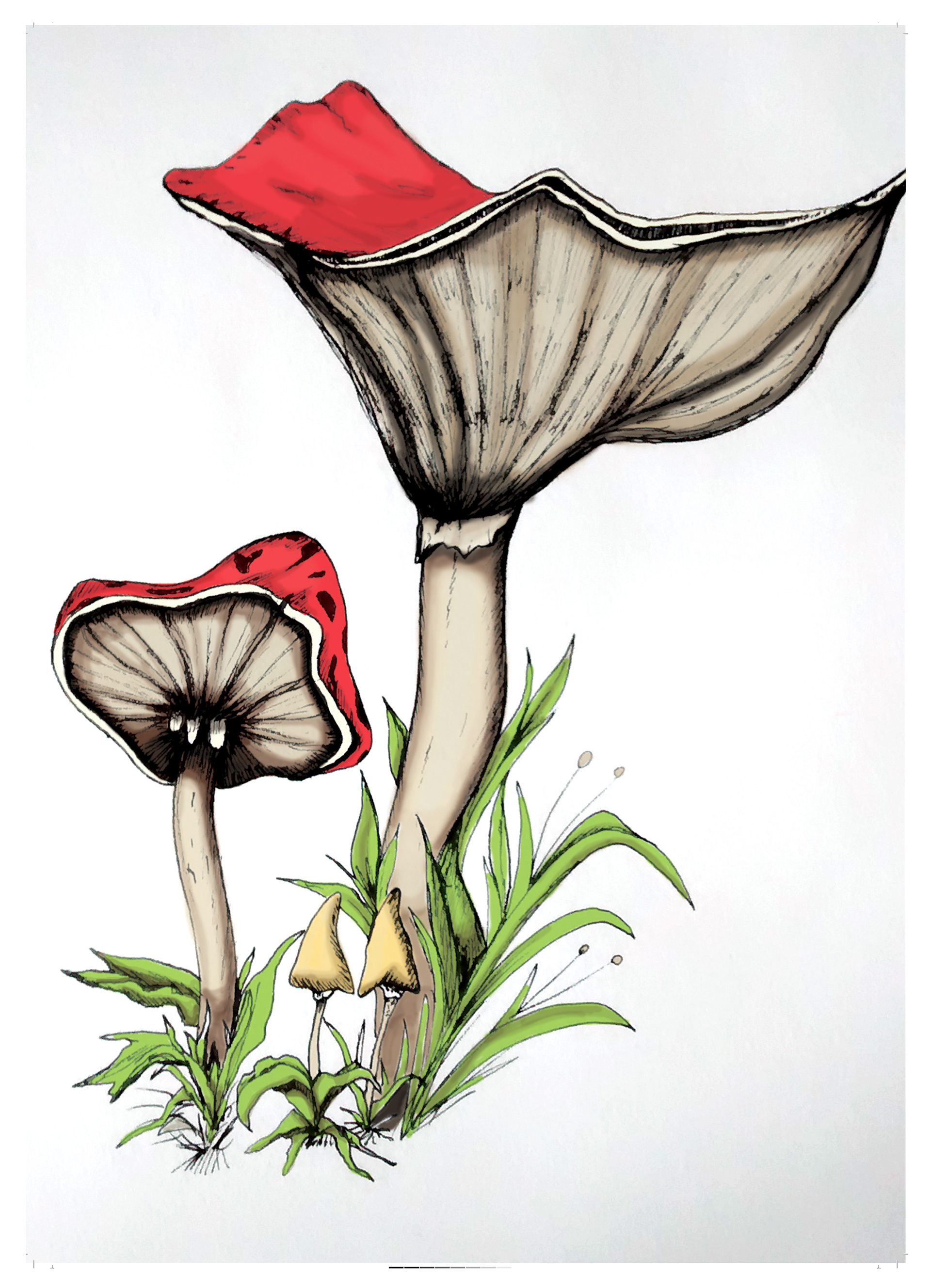 Fairy Mushrooms: Digital Art, 2020