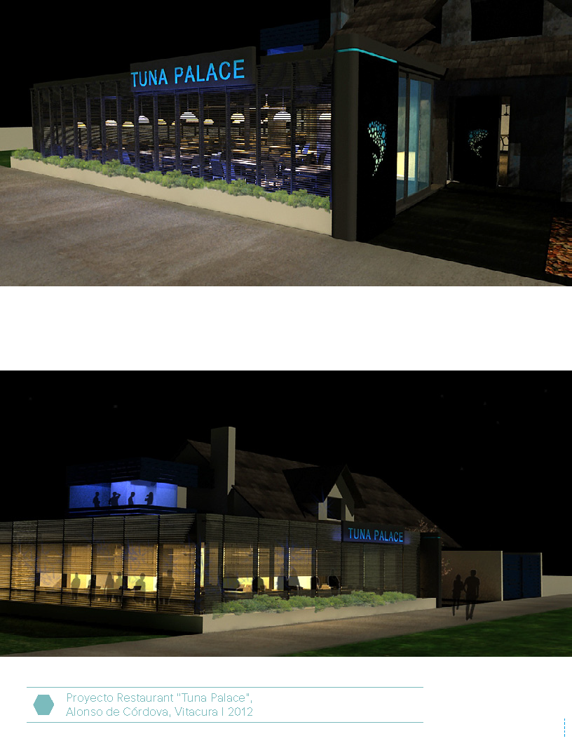 Interior design project, washington DC, 2011