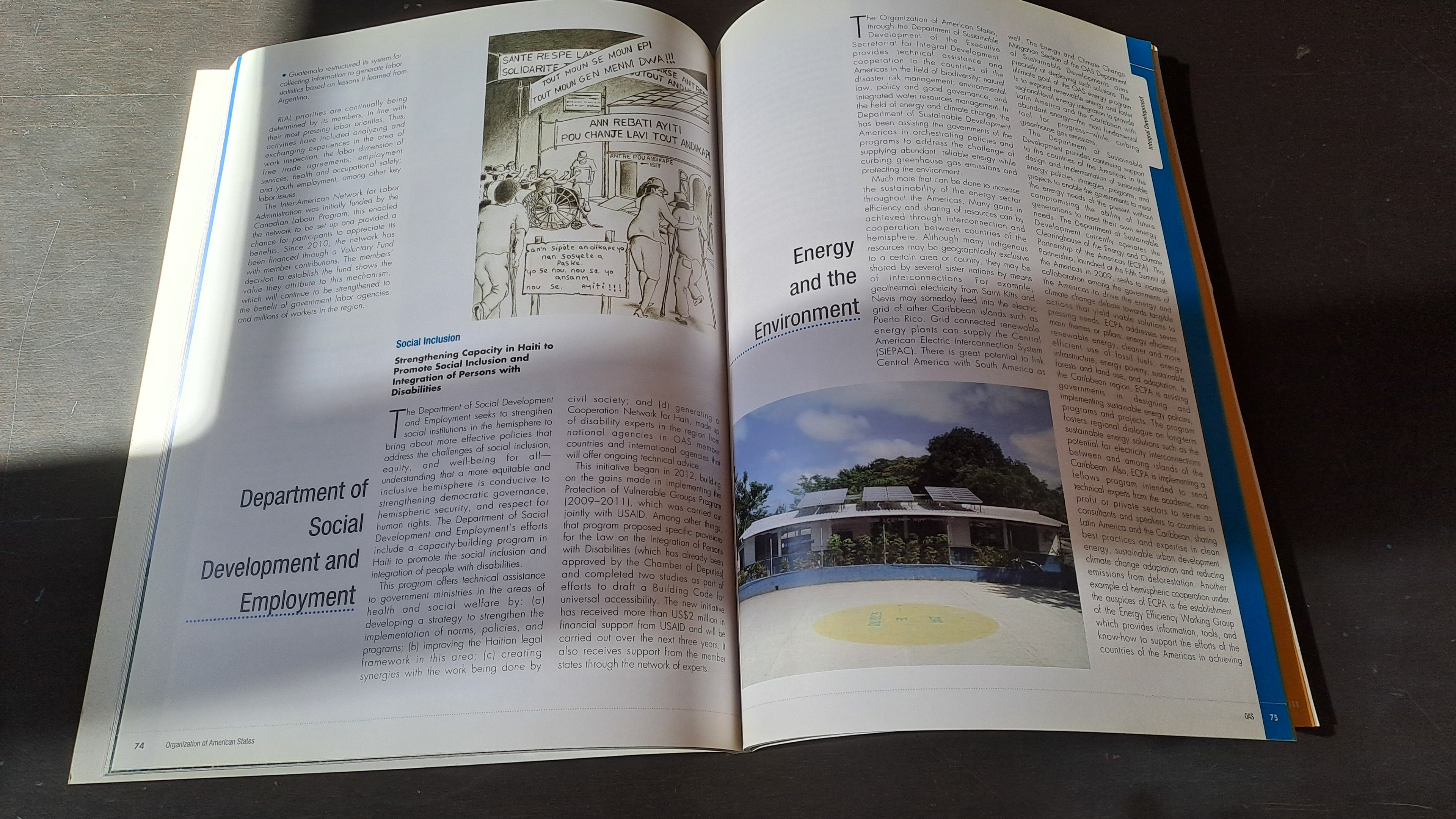 OAS Report 2012