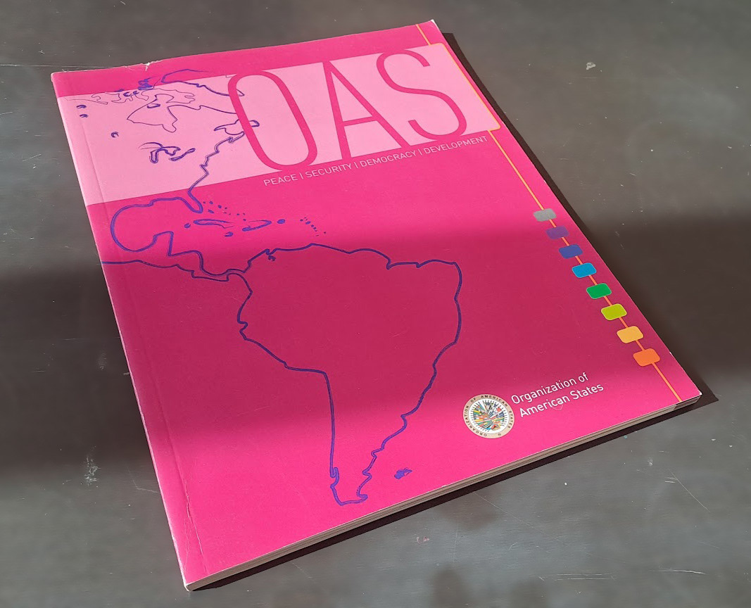 OAS Report 2012