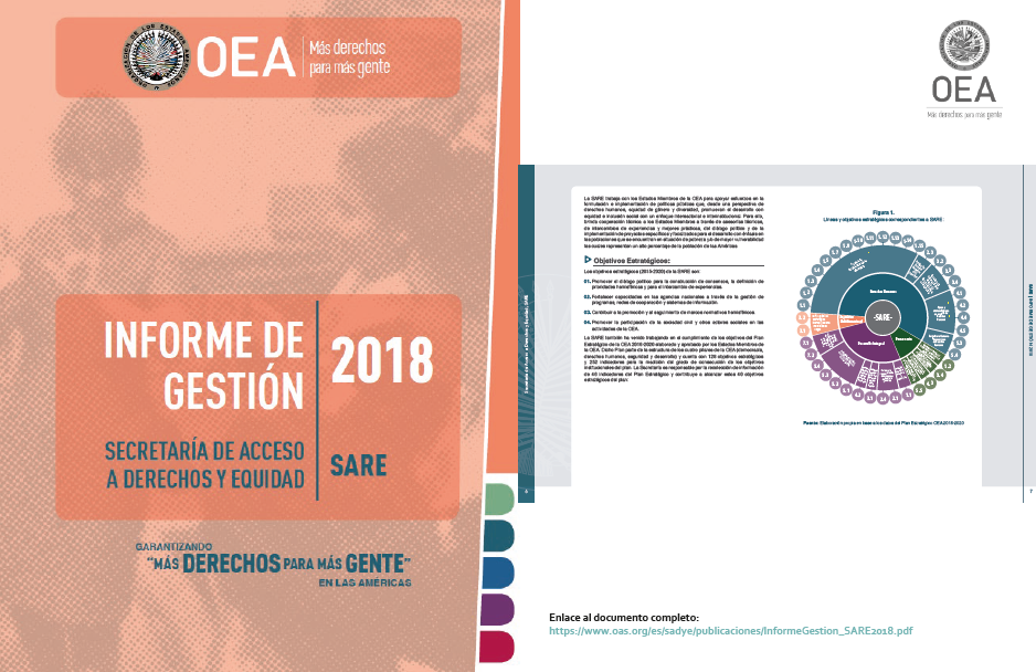Informe de Gestion DIS 2018