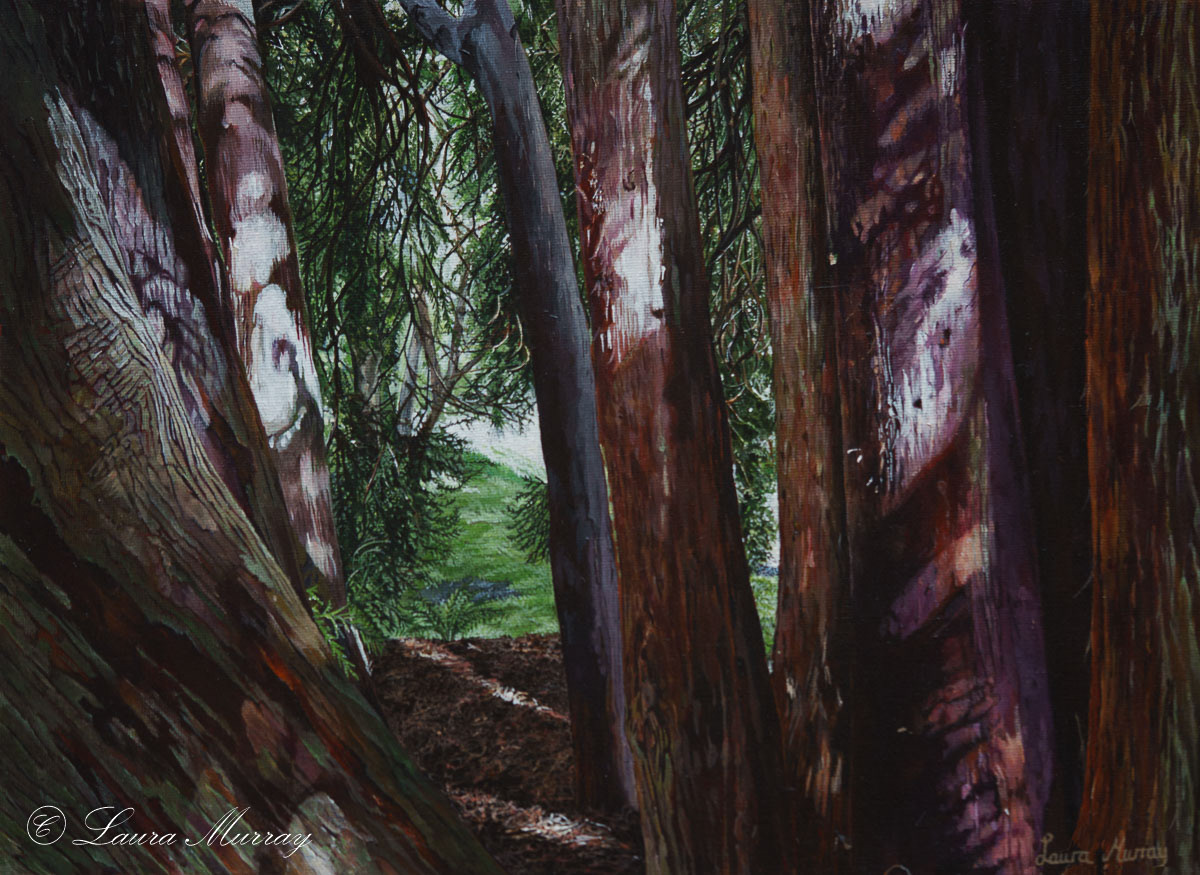 Castlewellan Forest Park