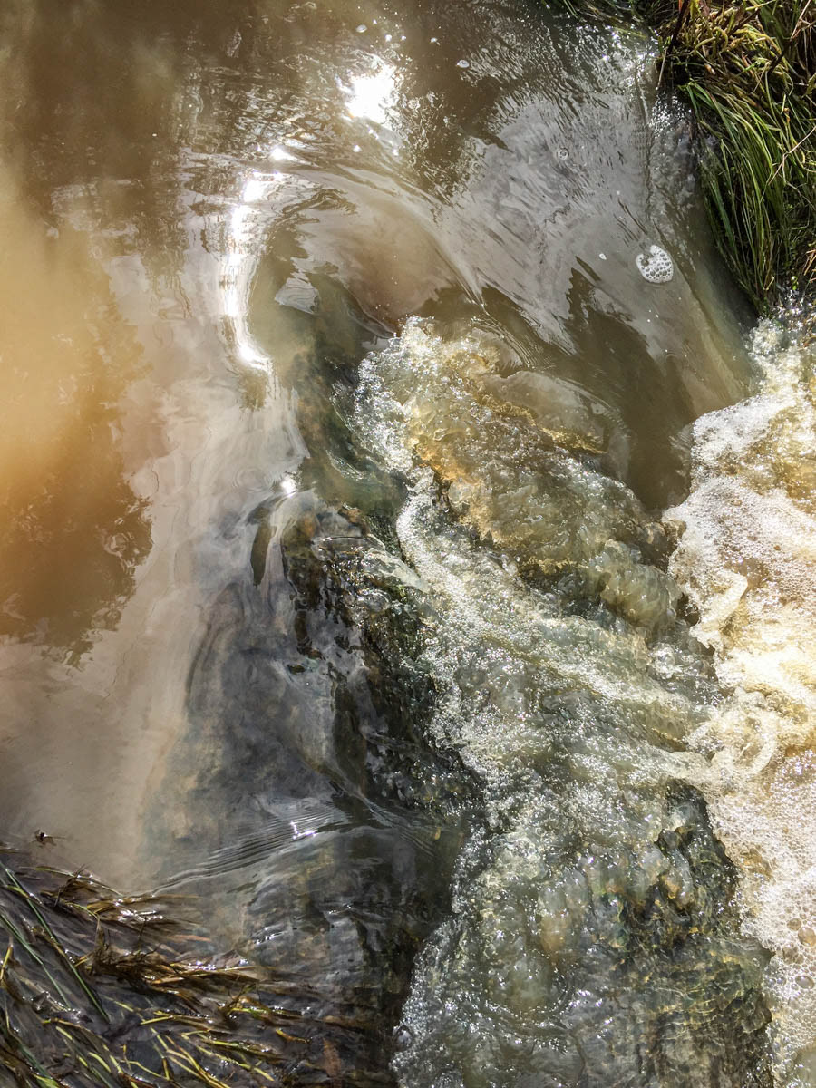 Plenty Gorge Parklands. Mobile comme l'eau.