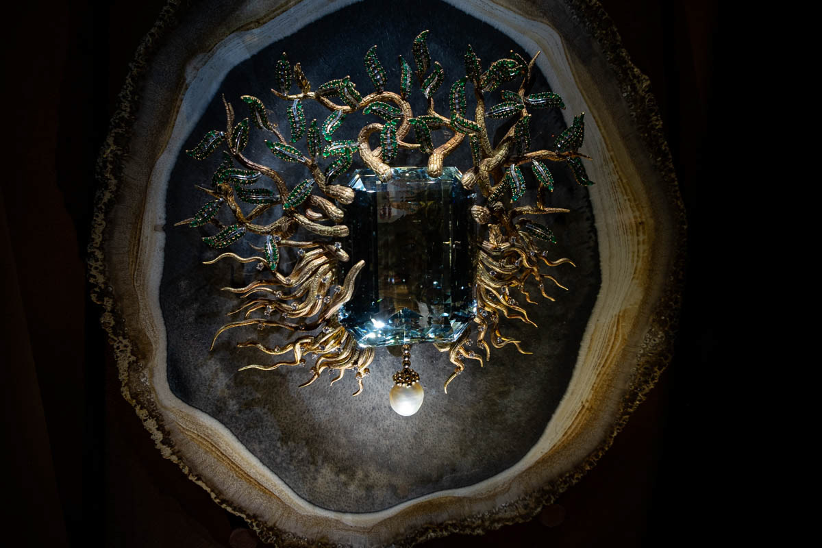 Medusa Gorgone