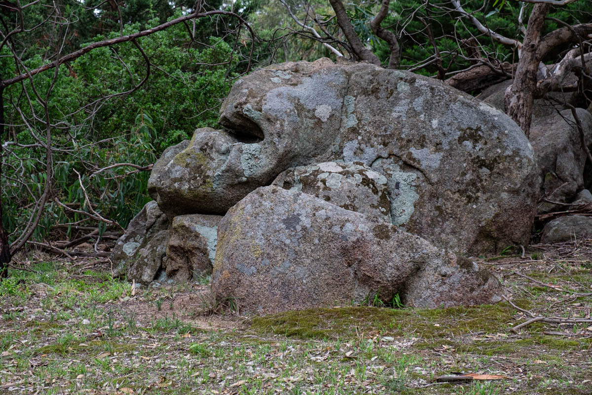 Le crâne. Paréidolie. Histoire de regard.