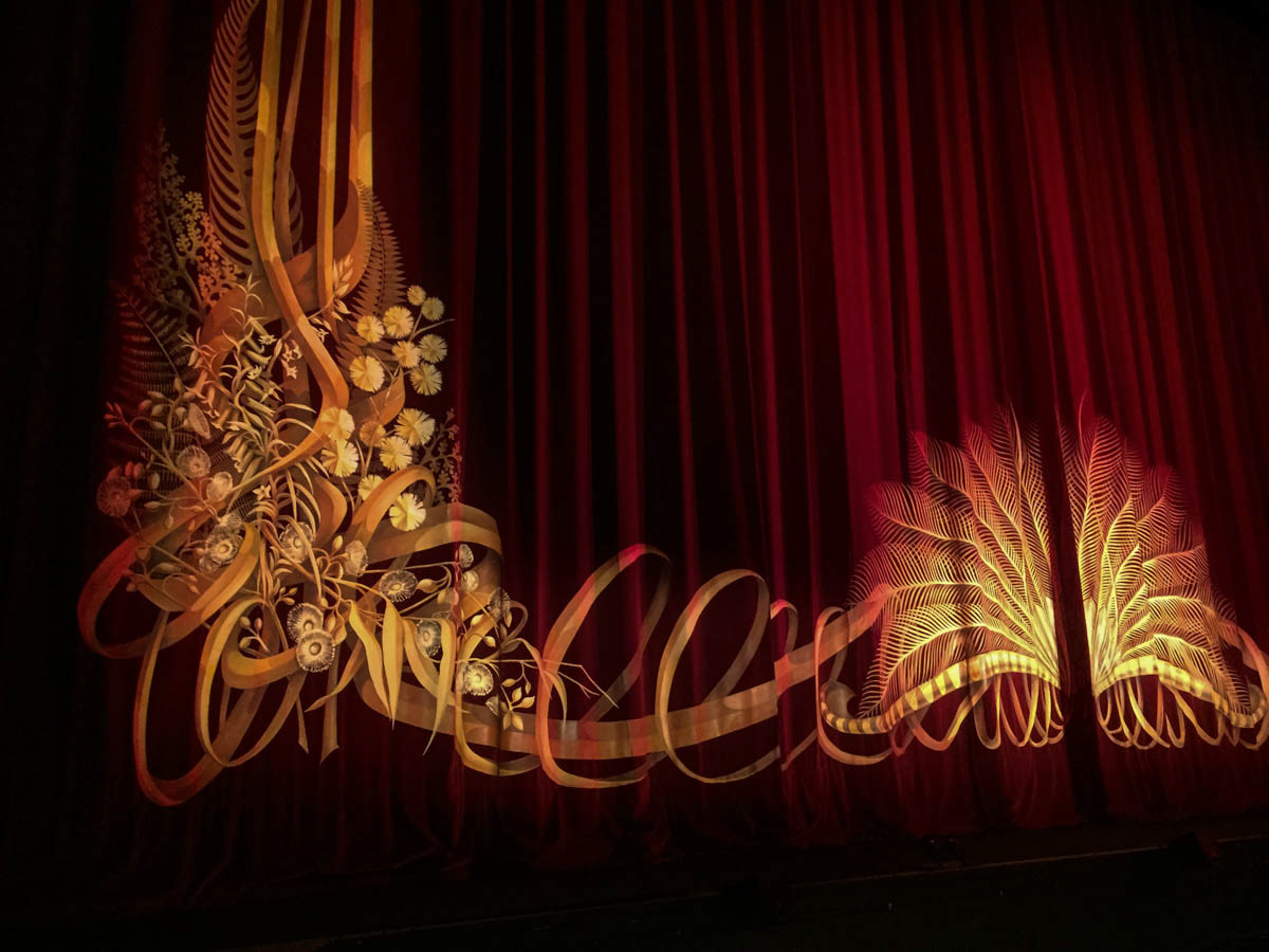 Rideau de scène du State Theatre. Drop Curtain of the State Theatre. Design par Graham Bennett . Velours rouge intense vient de Windsor Fabricks Au centre le plumage de l'oiseau lyre, fleurs et feuilles de plantes natives d'Australie. Coût: 90.000 dollars. Offert par la State Bank of Victoria. Trois mois de travail
