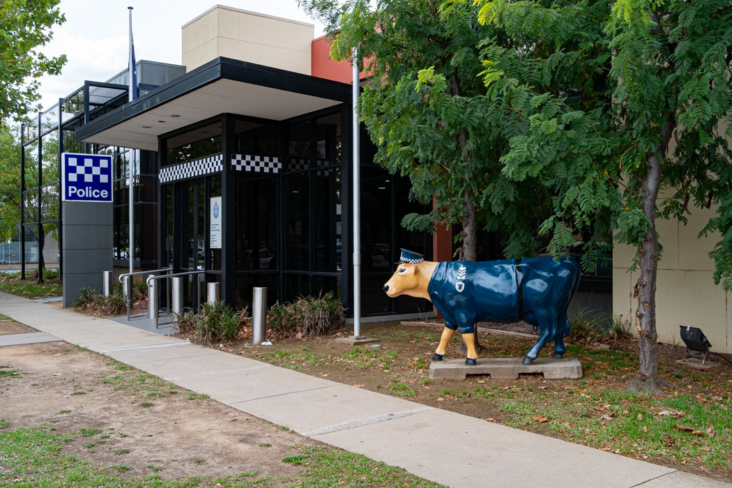 Police Station...vache