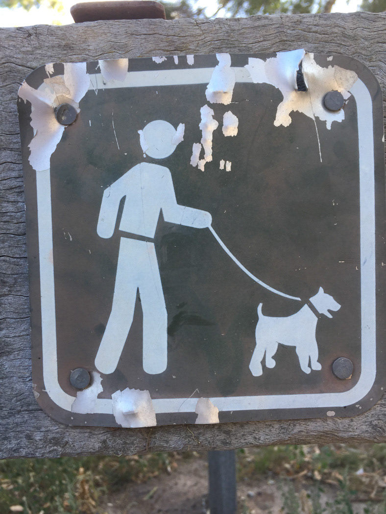 Tintin et Milou