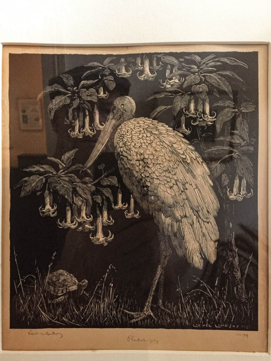 Gravure de Lionel Lindsay. 1874-1961. Philosophy. En arrière-plan, la datura...