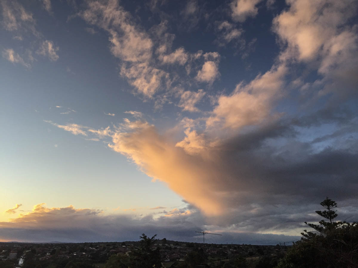 Ciel de Jacana