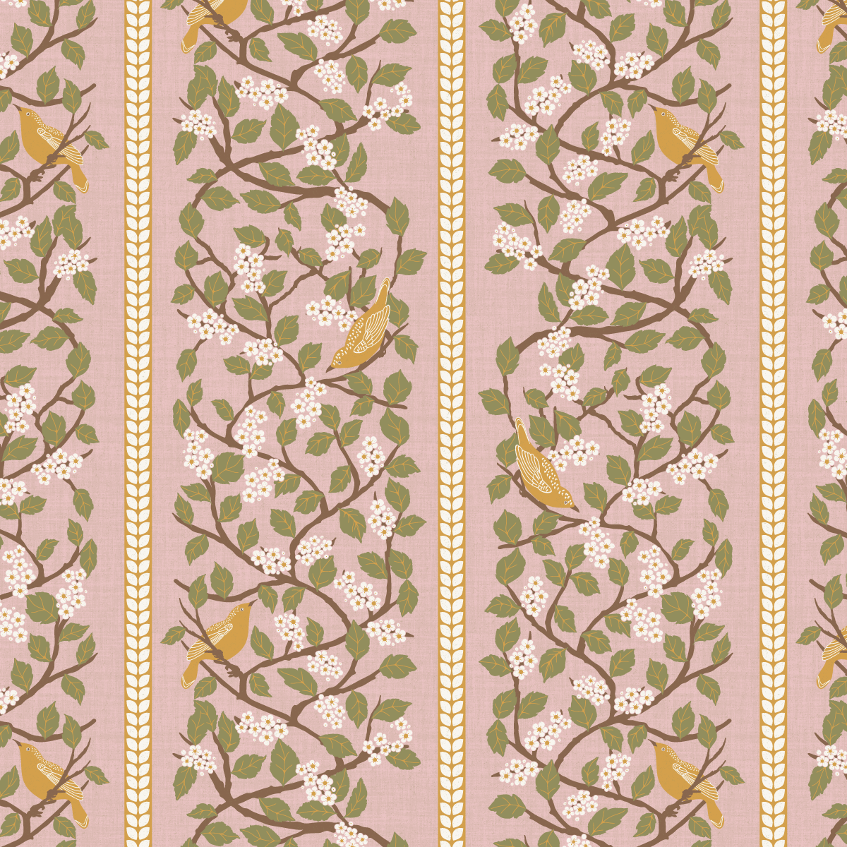 Black Hawthorn Bush Soft Rose Pink