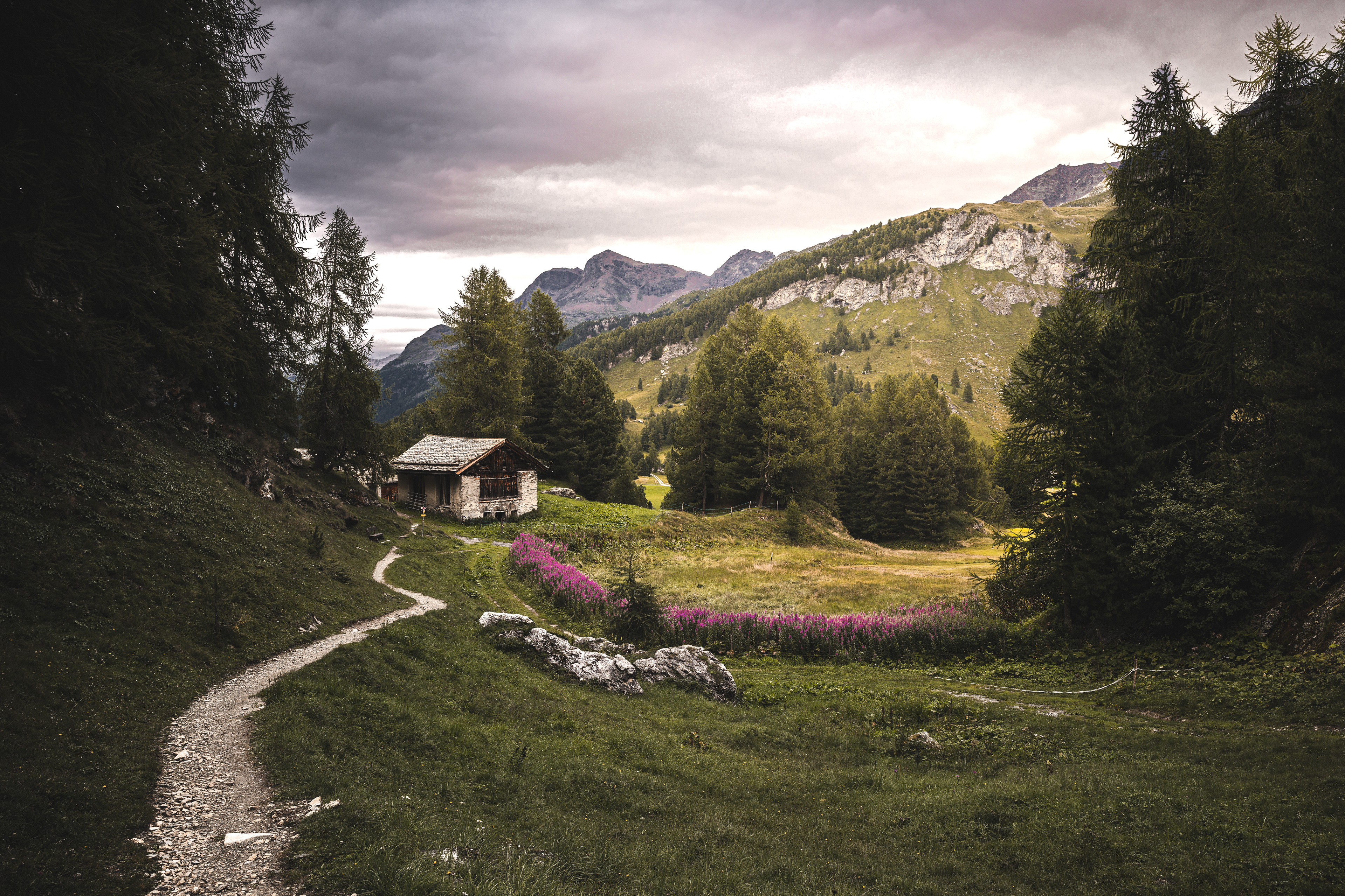 Alpine Paths