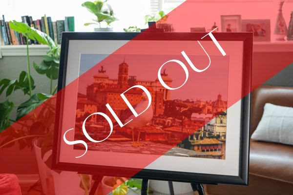 "Bird's Eye Over Rome" - $100