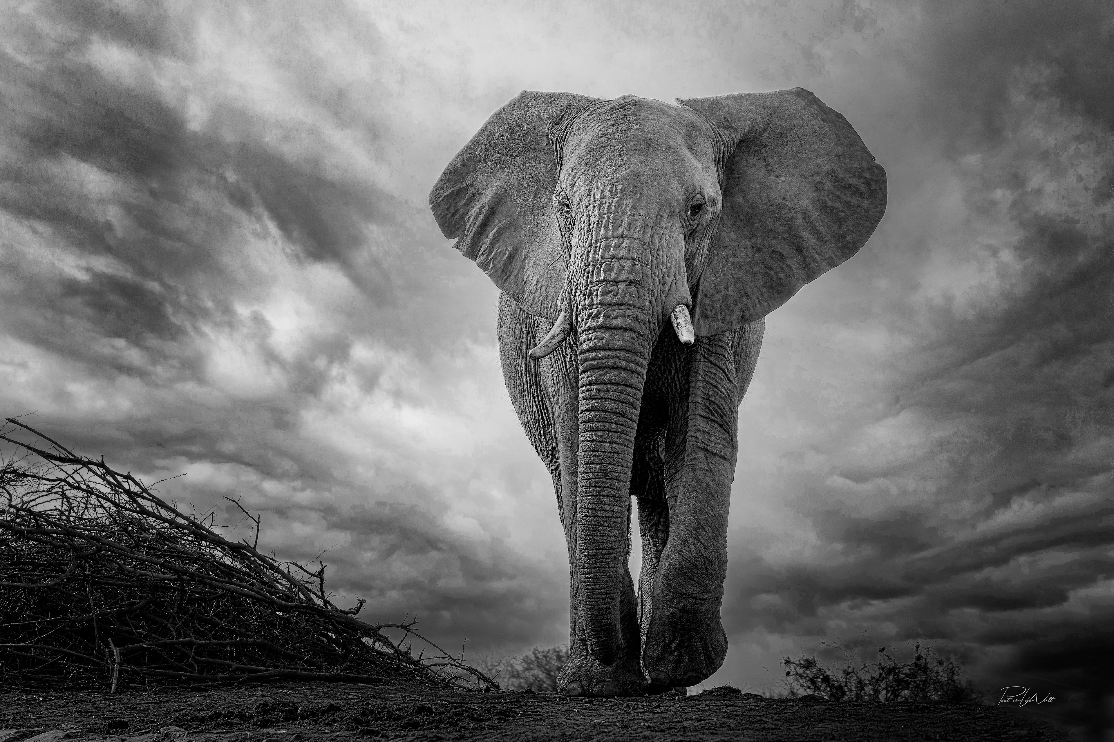 Out of the clouds - Madikwe