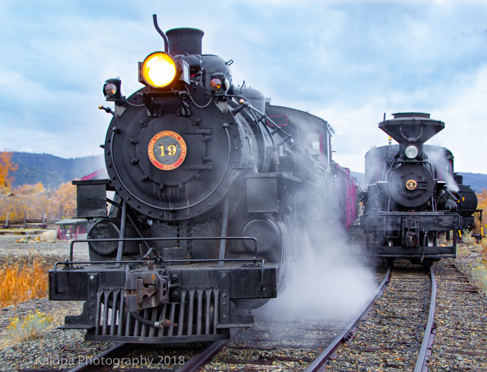 ALCO Mikado #19 & Heisler #3