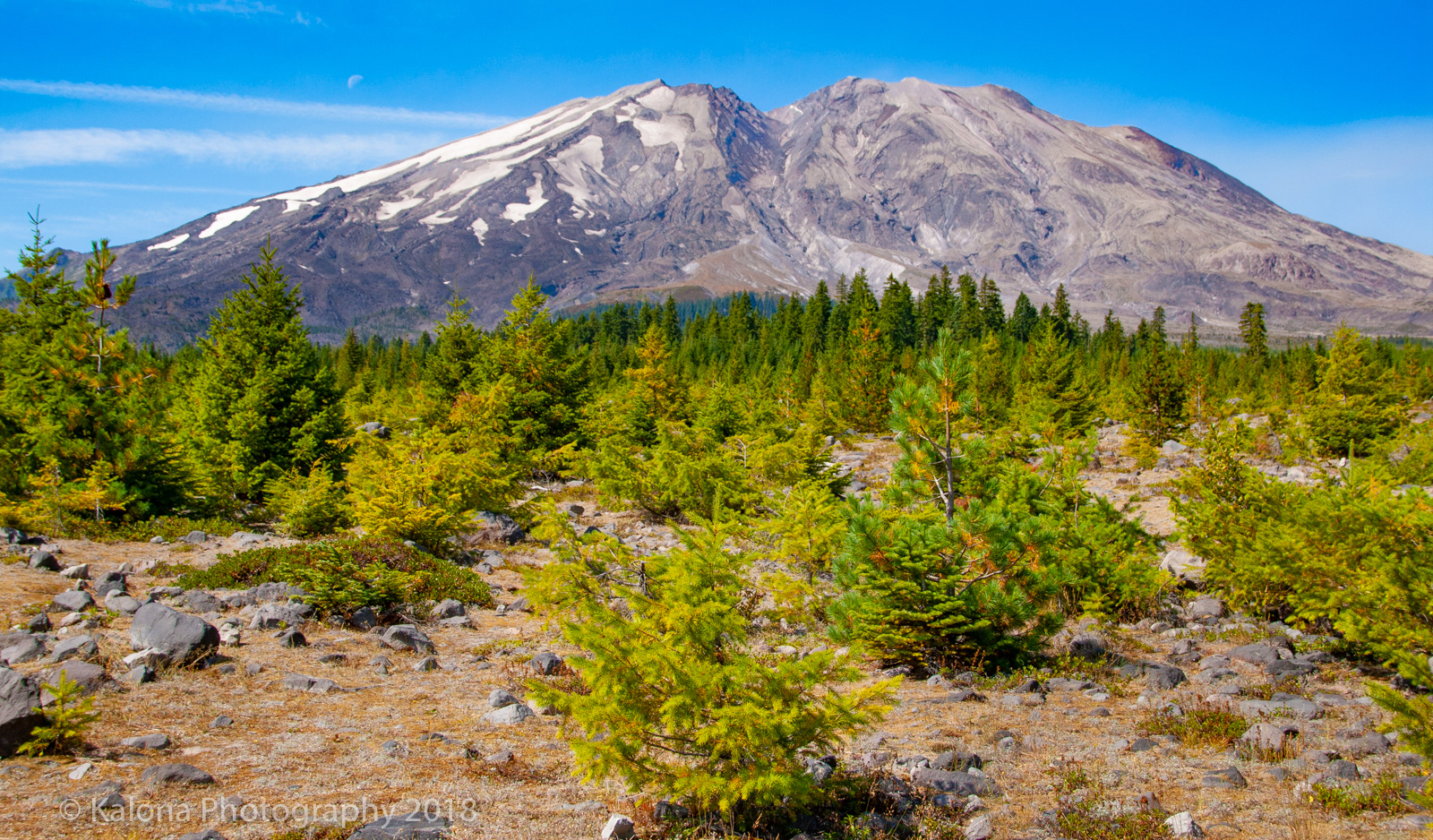 Mt. St. Helens