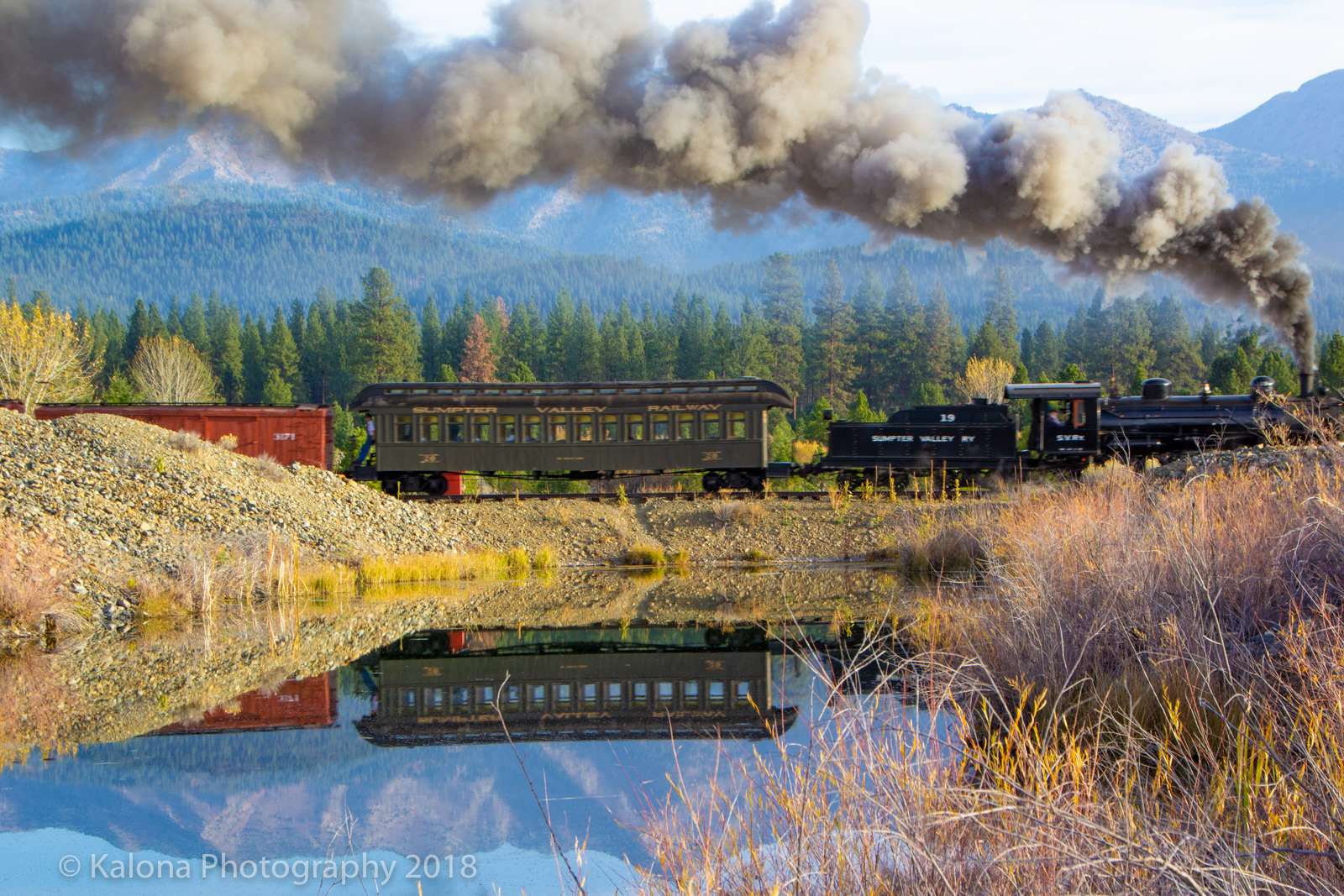 Reflective ALCO Mikado #19