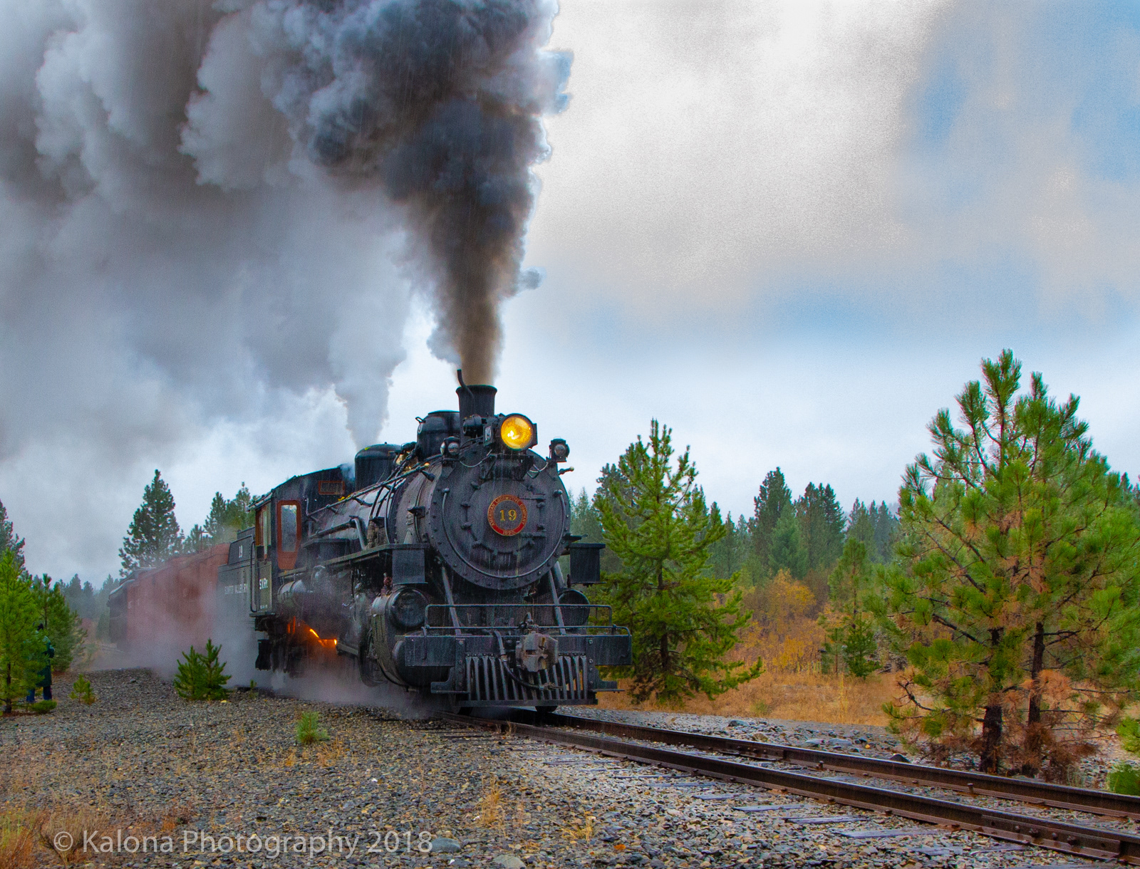 ALCO Mikado #19