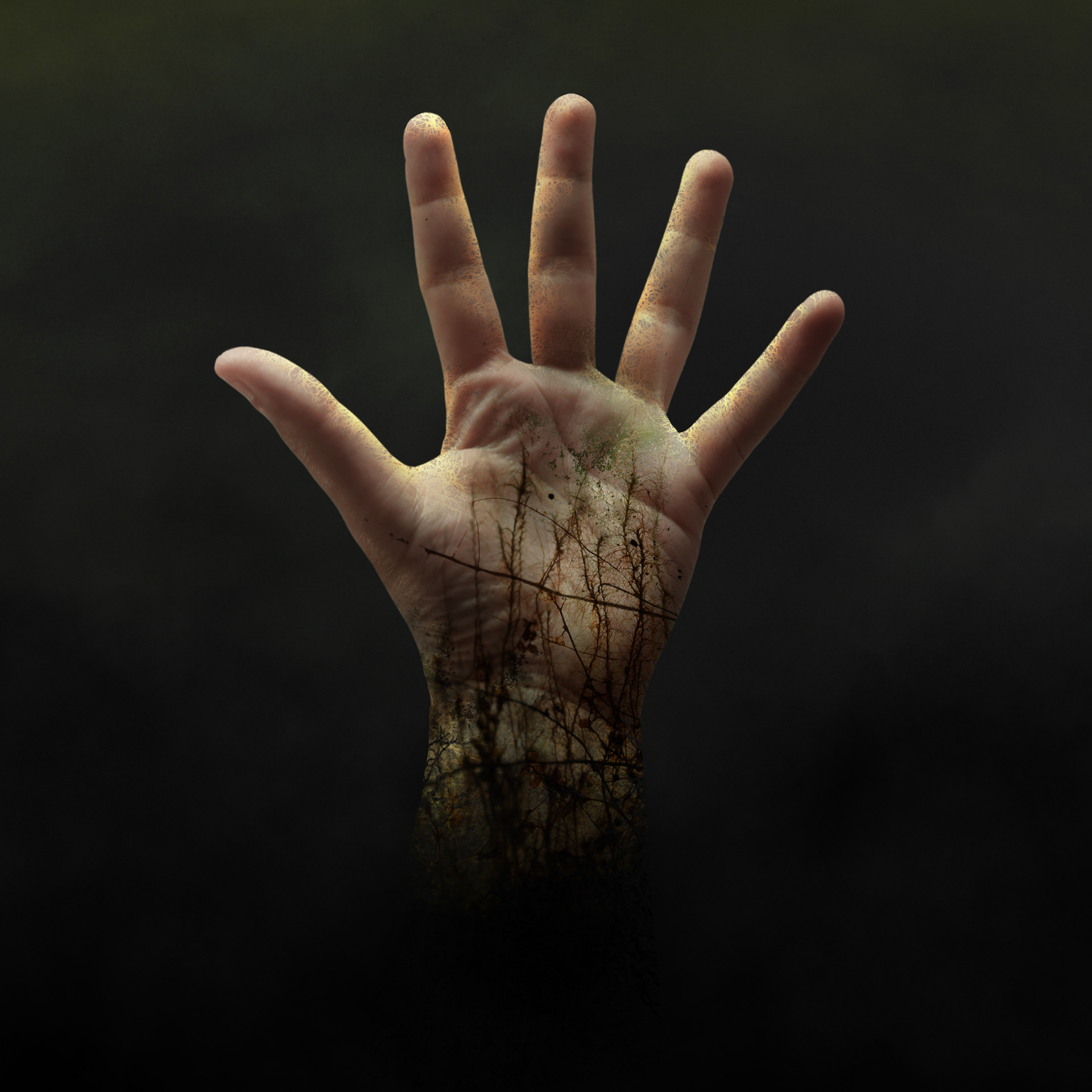 'Emerging' - University Project