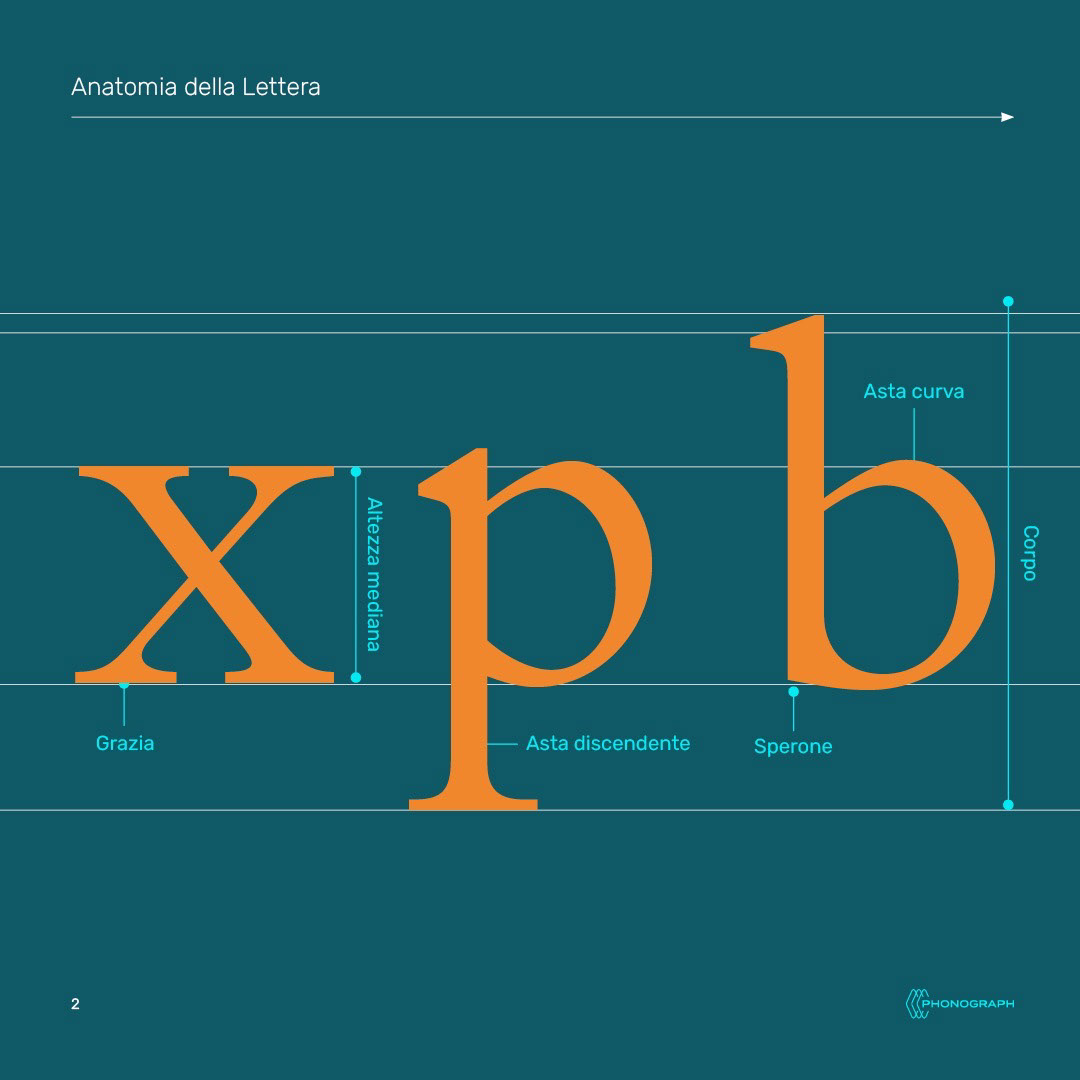 a lettera. i particolari nel disegno dei caratteri. Anatomia della lettera, schema costruzione della lettera x, p, b