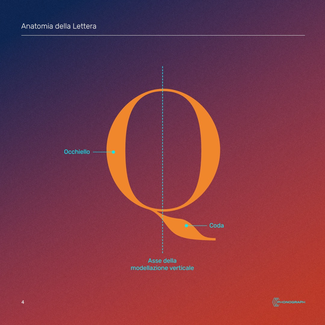 a lettera. i particolari nel disegno dei caratteri. Anatomia della lettera, schema costruzione della lettera Q, occhiello, coda, asse della modellazione verticale