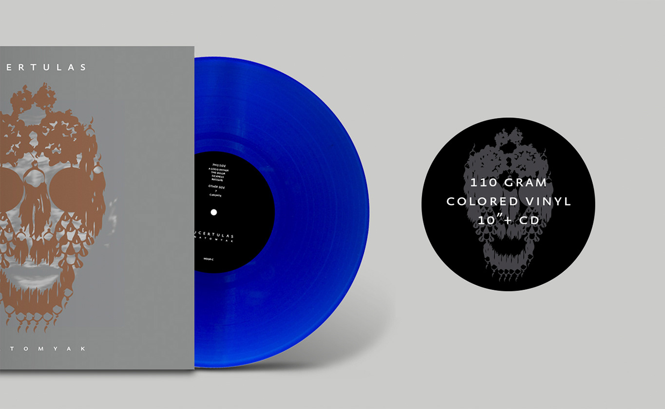 Lucertulas front cover and blue vinyl macro and vinyl cover black sticker