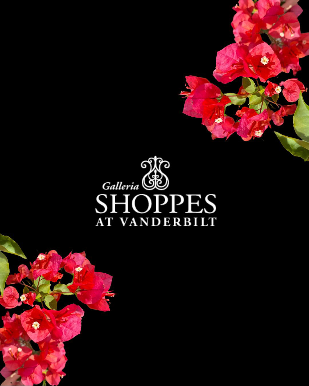 Branding Image