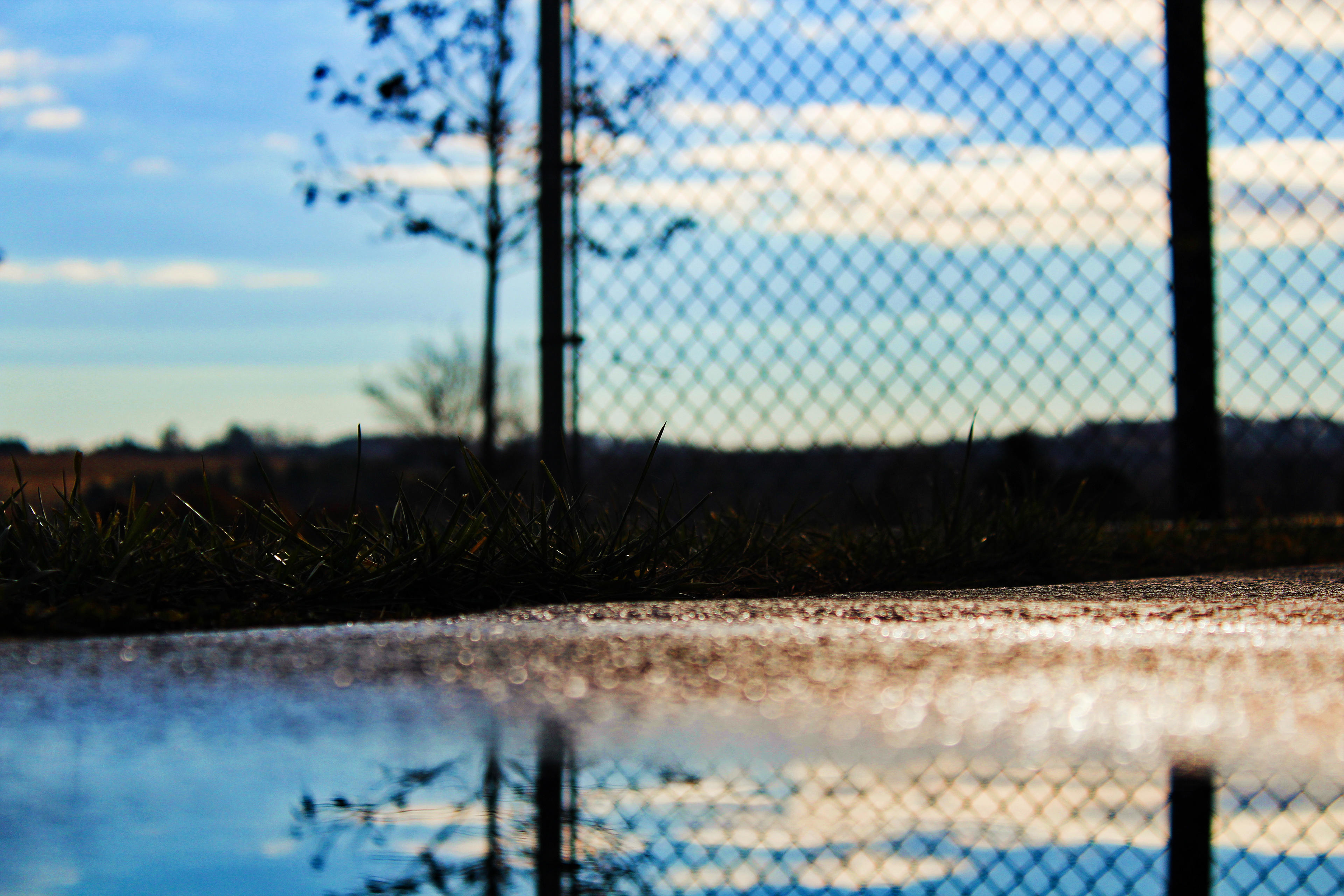 "where the fence ends"