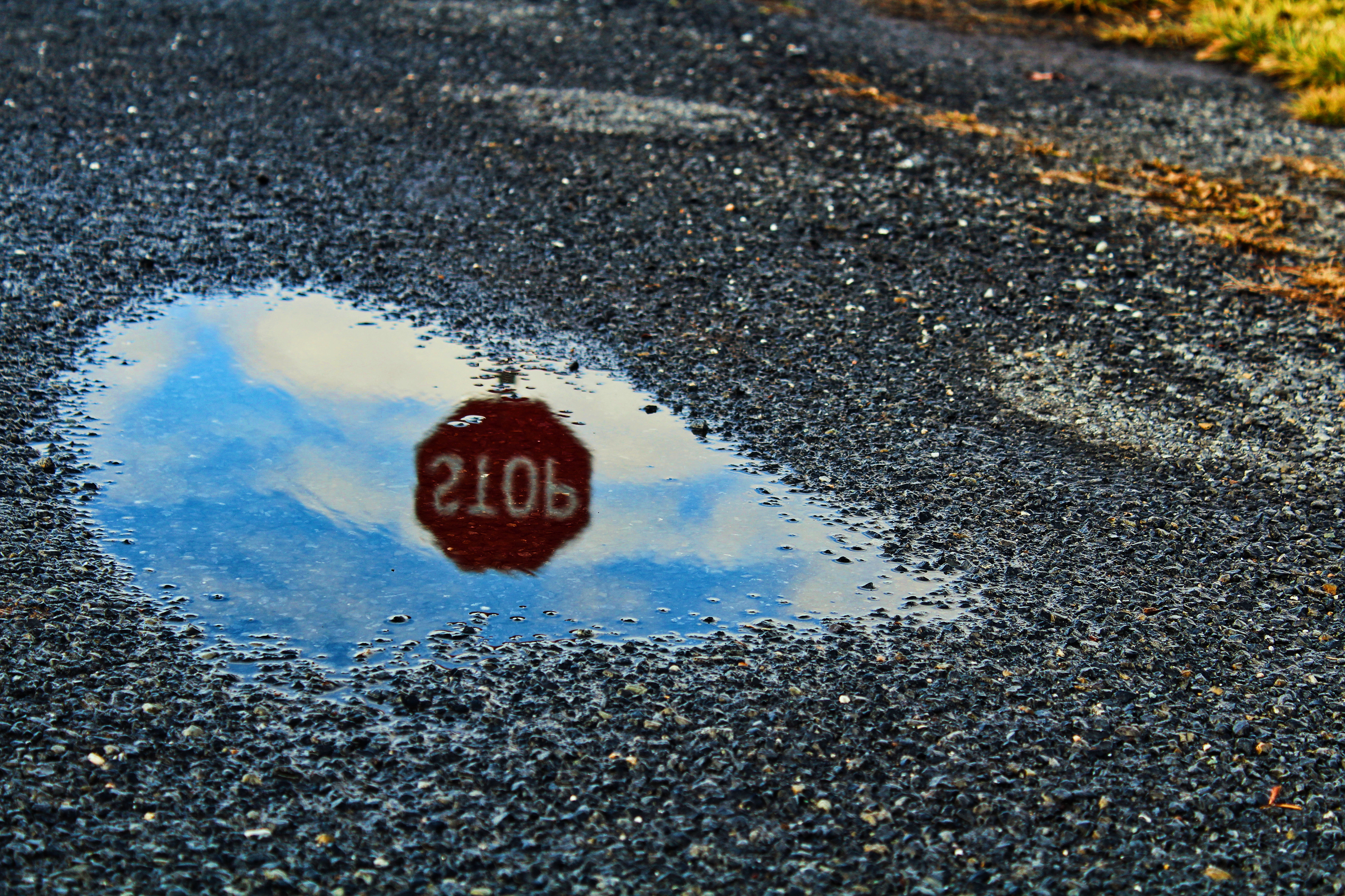 "stop and reflect"