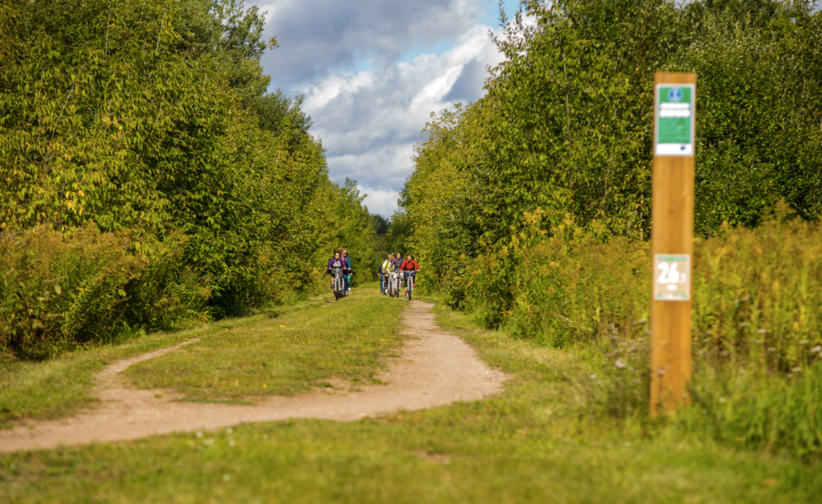 Cyclists near Limbaži during 9th EGWA Award Study Tour