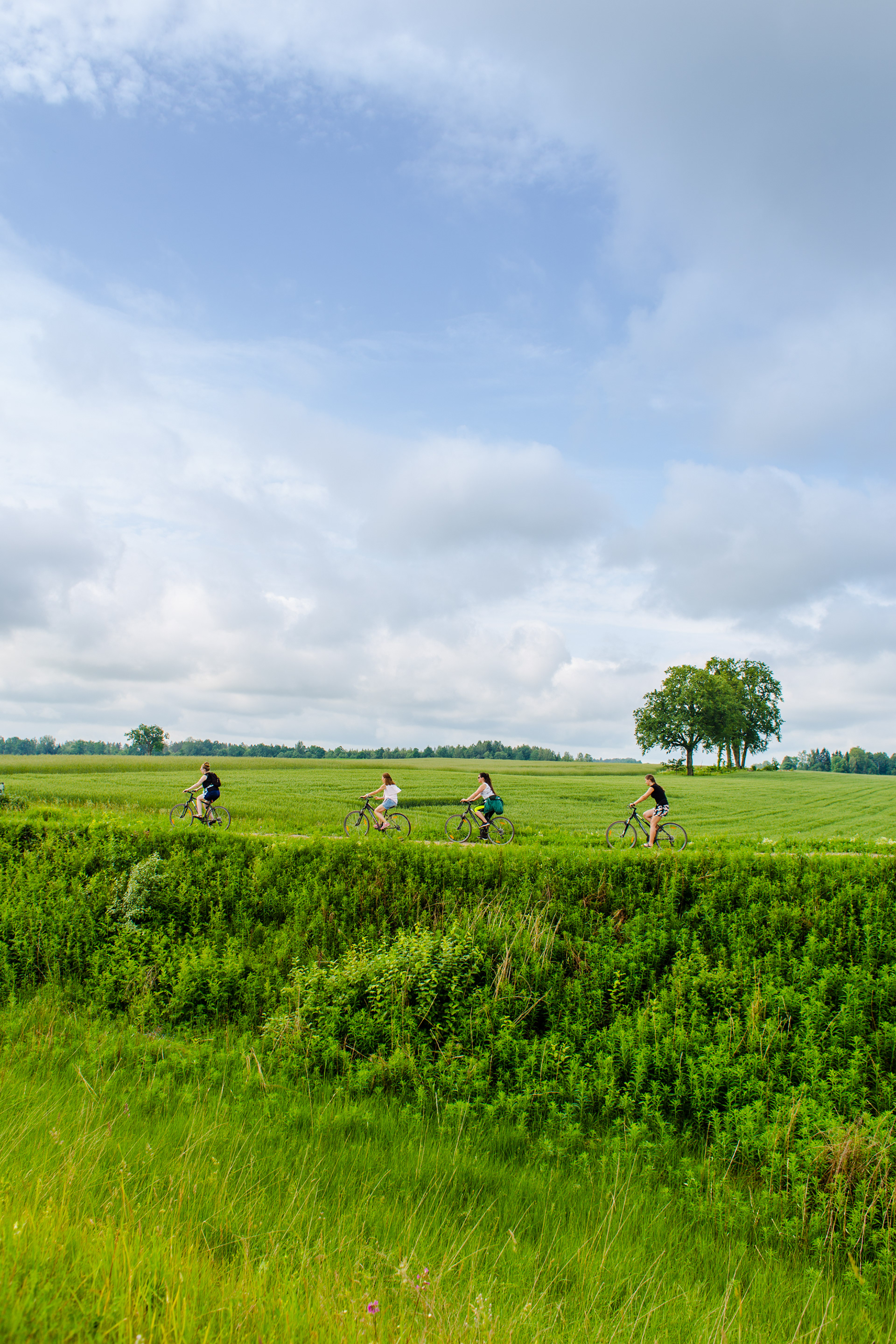 Greenway in Kocēni Municipality
