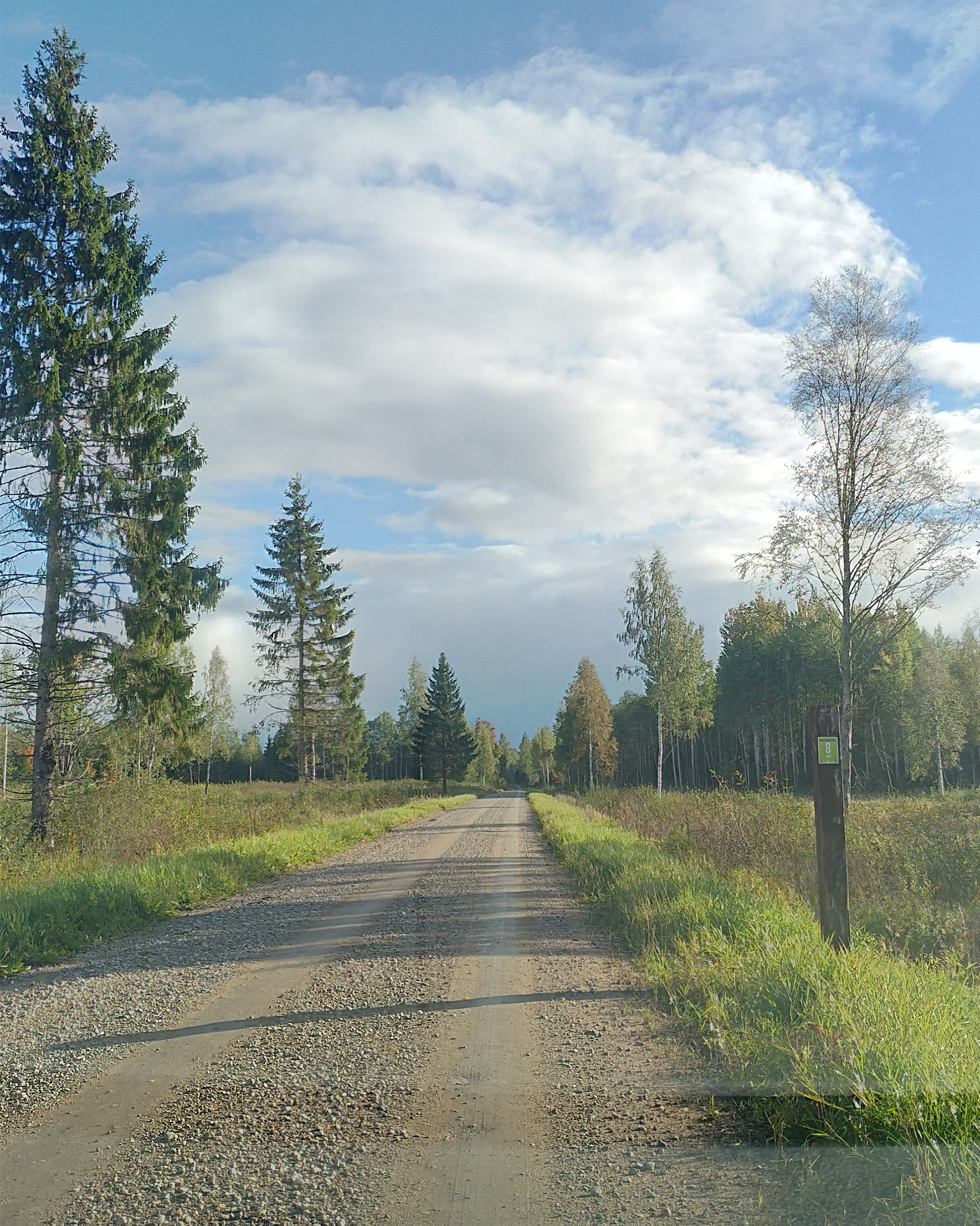 7 km. Rada Sinialliku ja Loodi endiste jaamade vahel. Trail between Sinialliku and Loodi former stations.